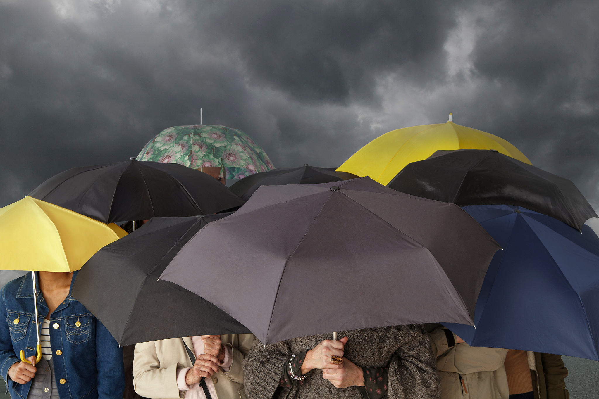 group of people with umbrellas