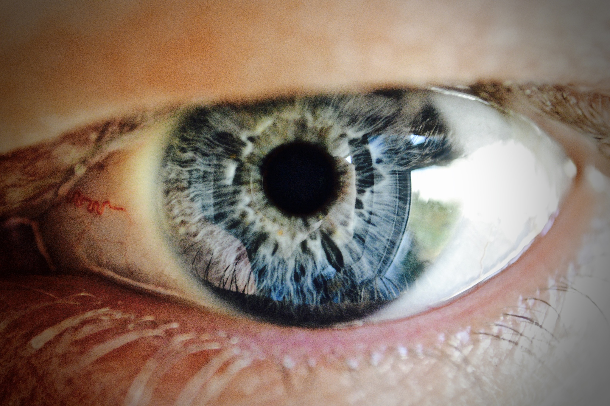 blue eye close up