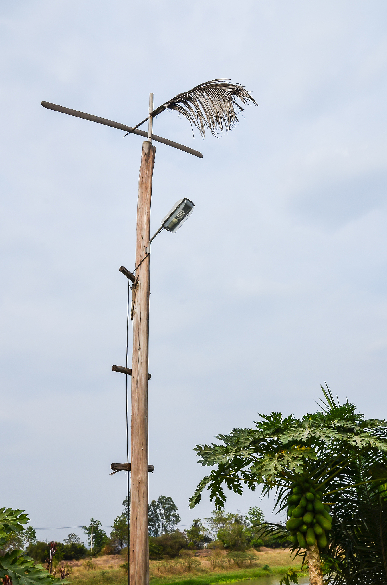 lamp pole wood