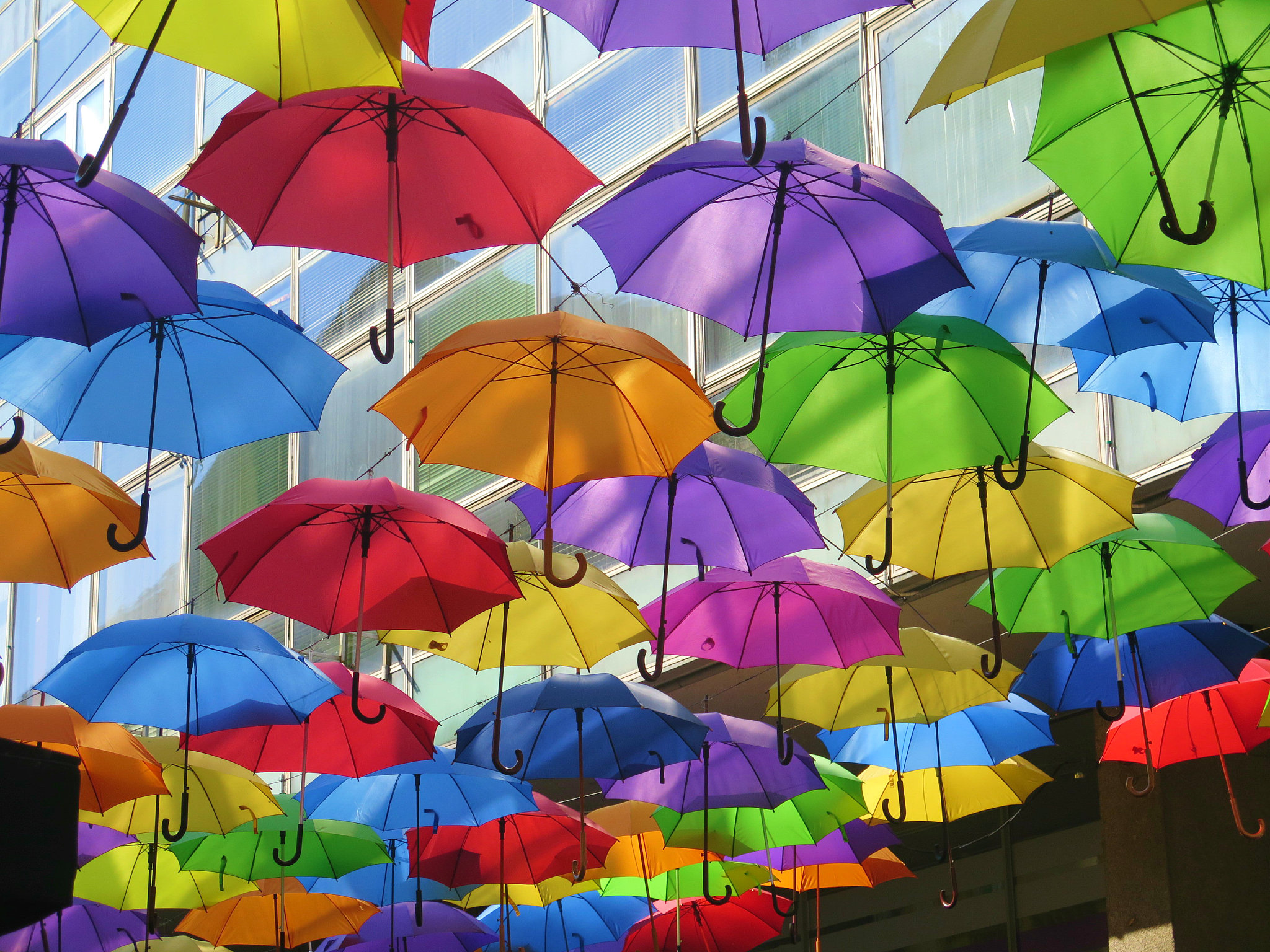 lots of colorful umbrellas hanging above street