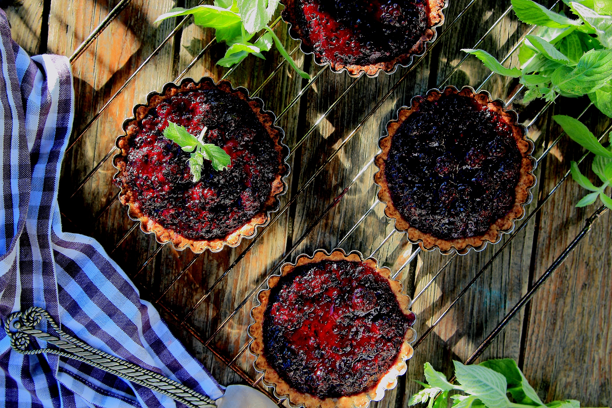 草莓果酱描述性分析实验流程 - 质量评估指南