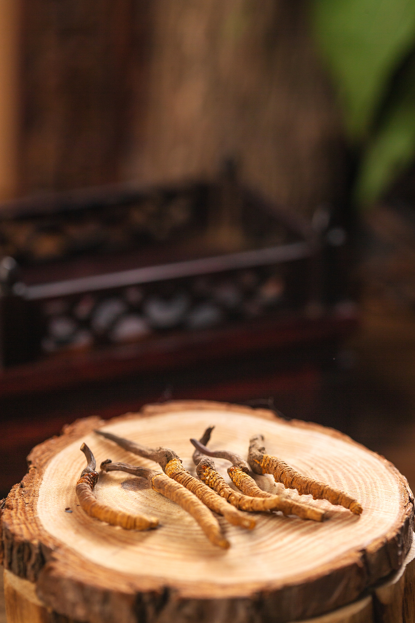 冬虫夏草泡水：开水好还是温水好？