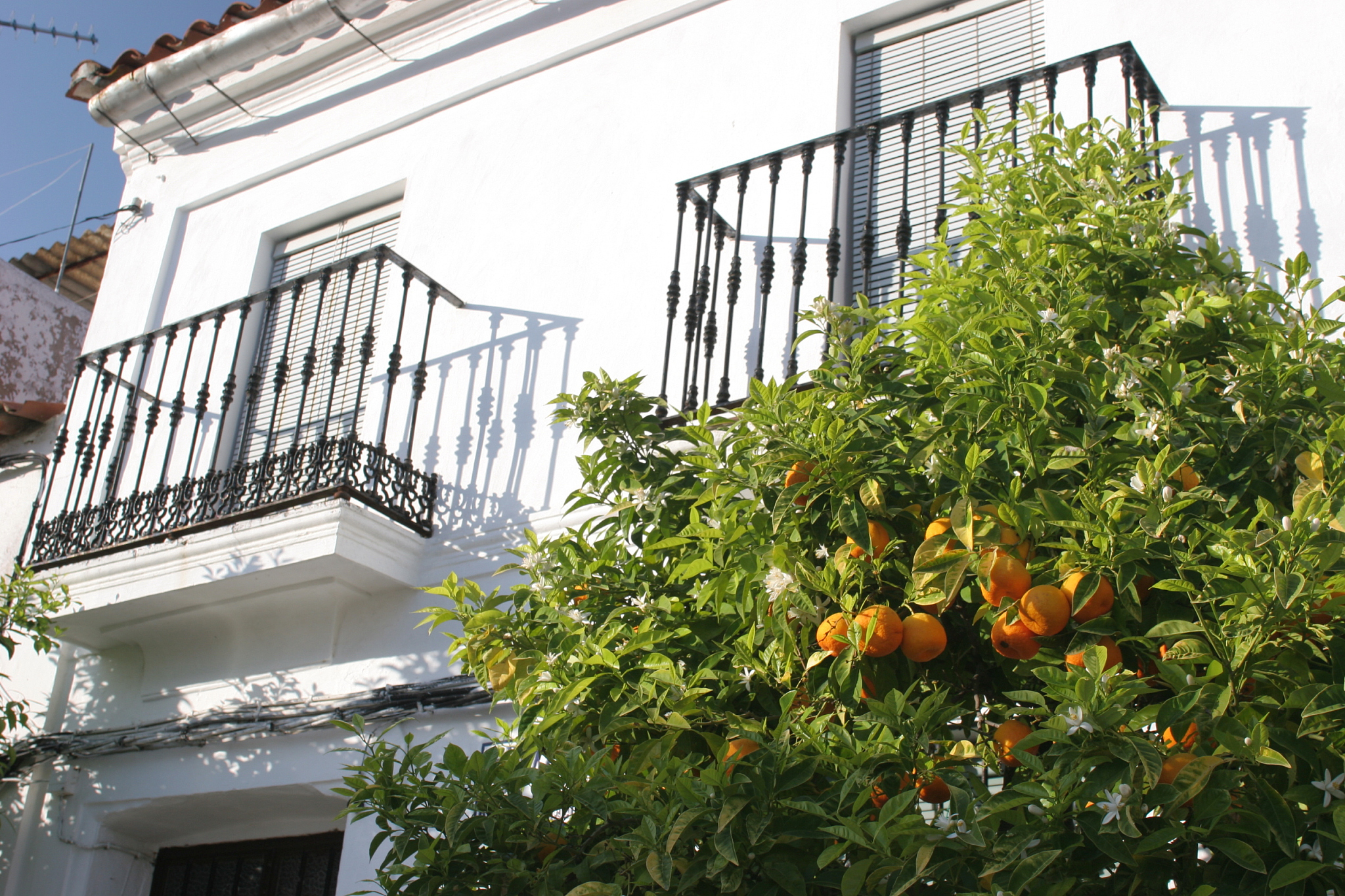 house in almonaster la real