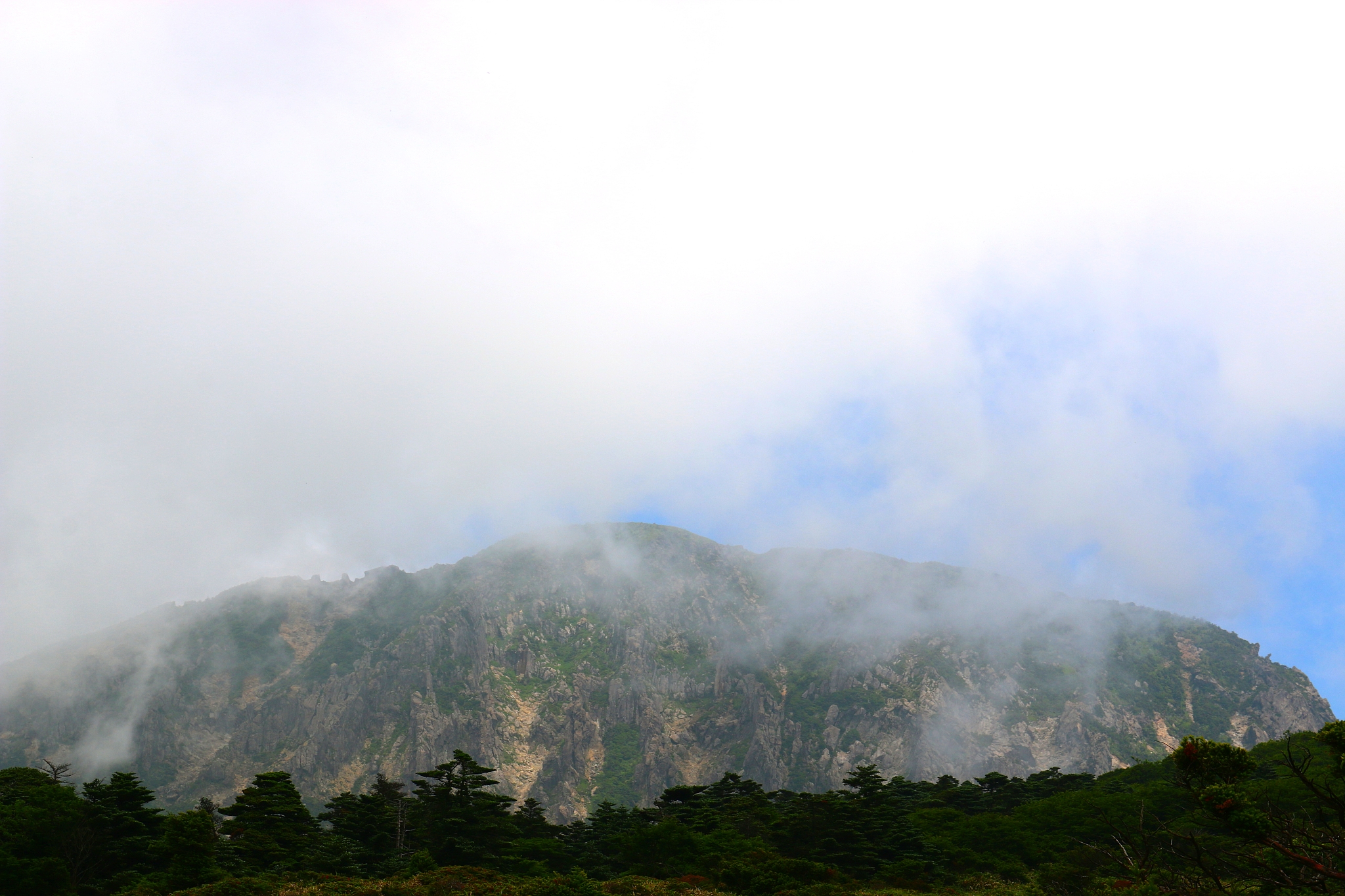 hallasan, mountain, mountain, mountain, forest, mountain, forest