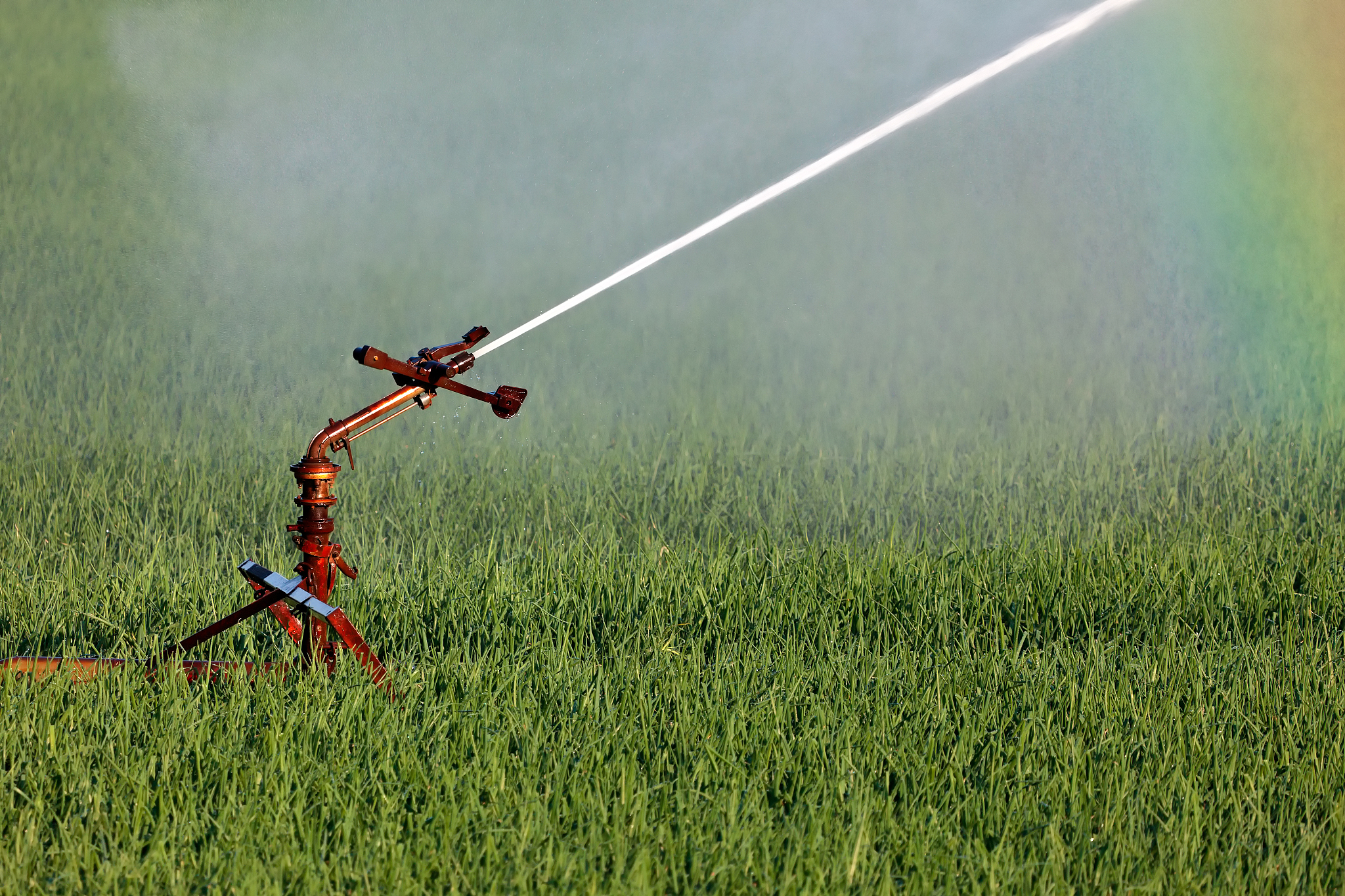 按照淘宝规则帮我写一个喷播机标题