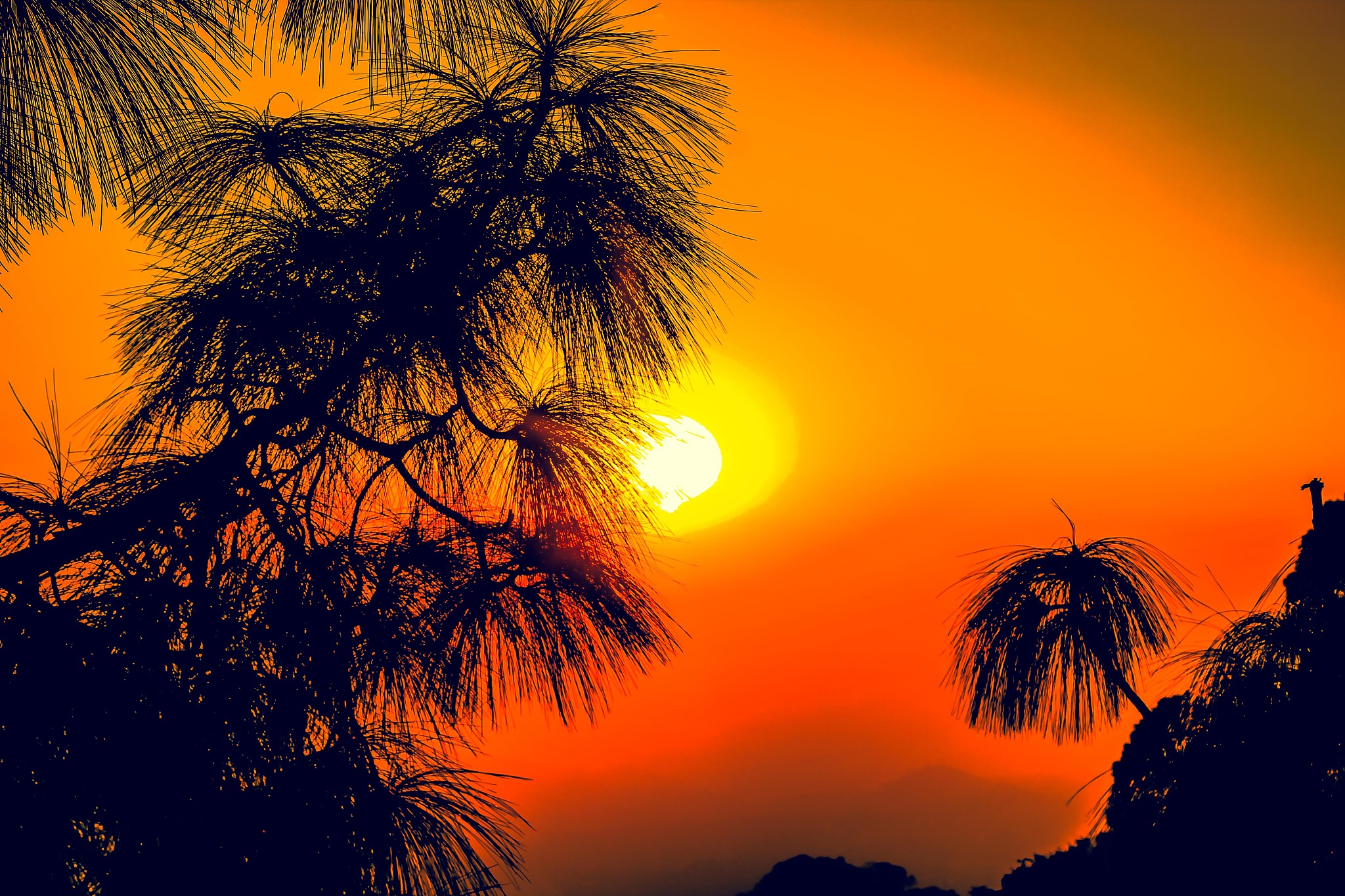 夕阳 晓月对仗 唯美诗句