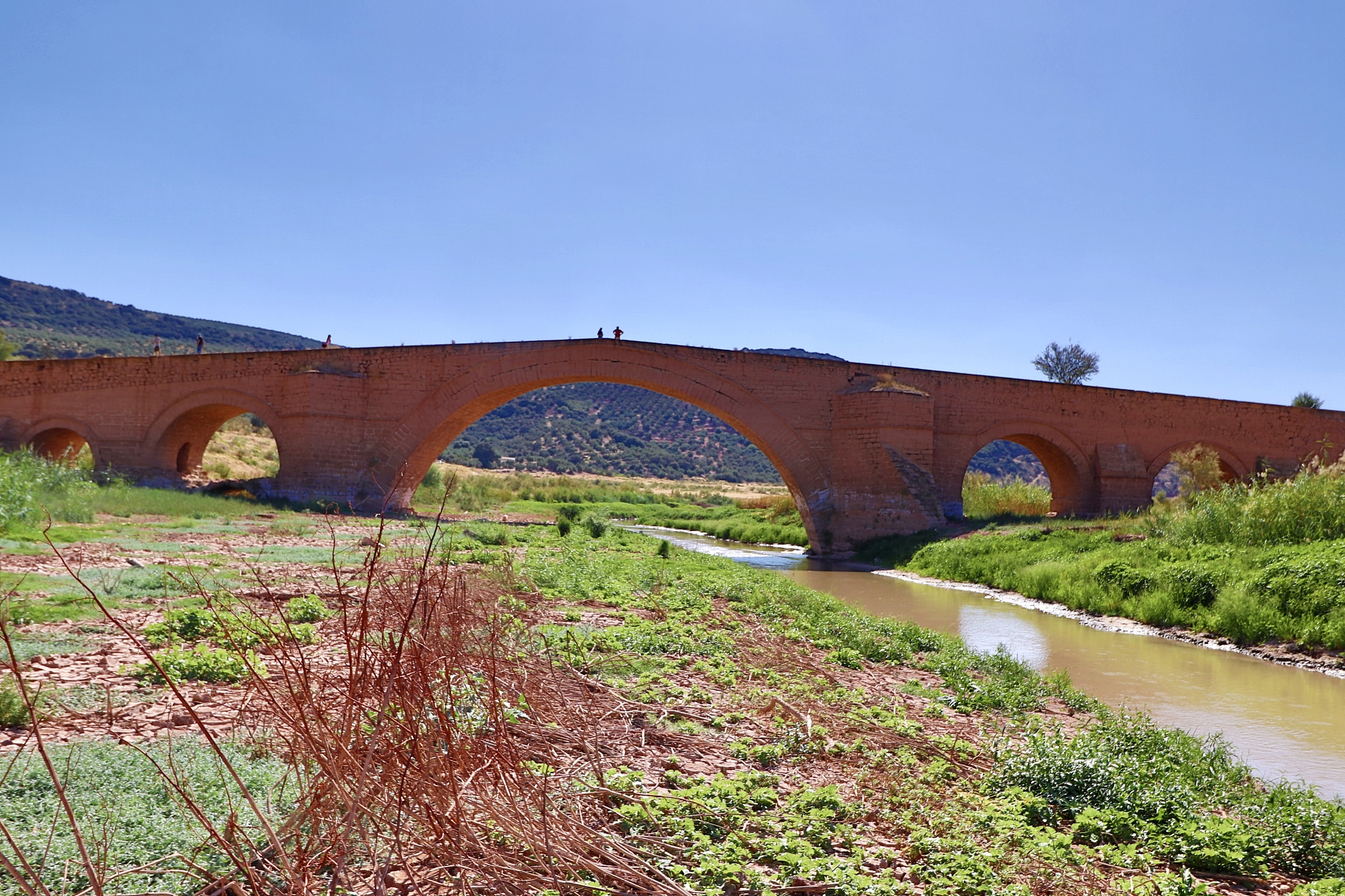 ariza bridge