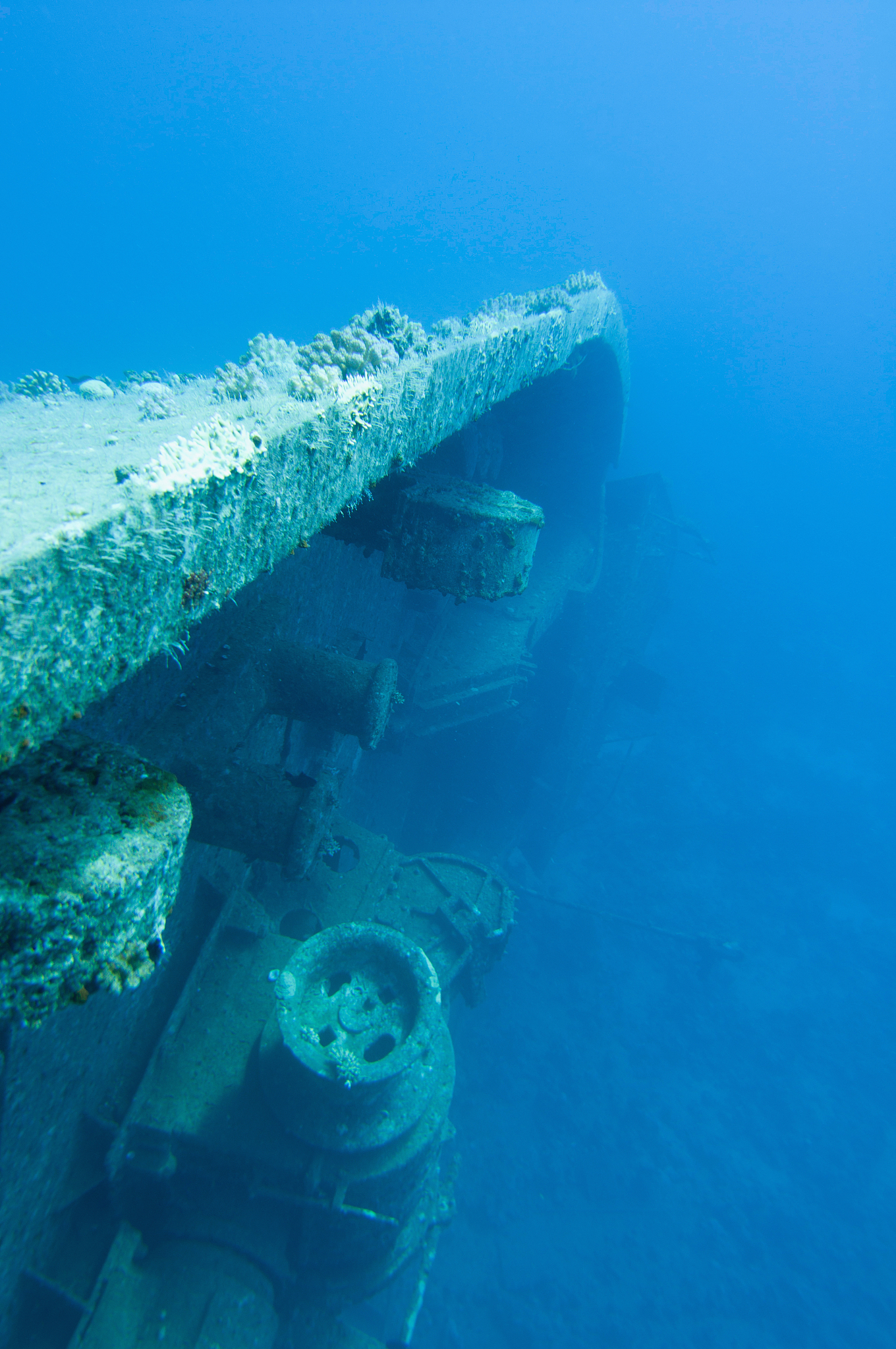 close-up of shipwreck in water