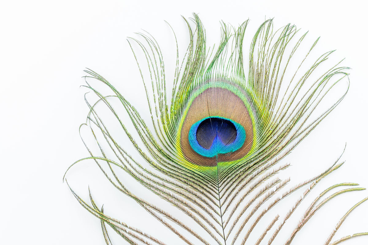 关于'幽州真理'的信息