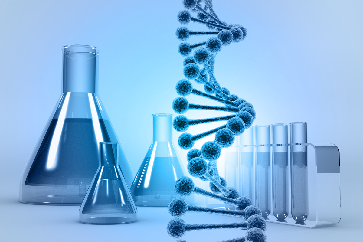 理化生学科：物质、变化和生命的科学