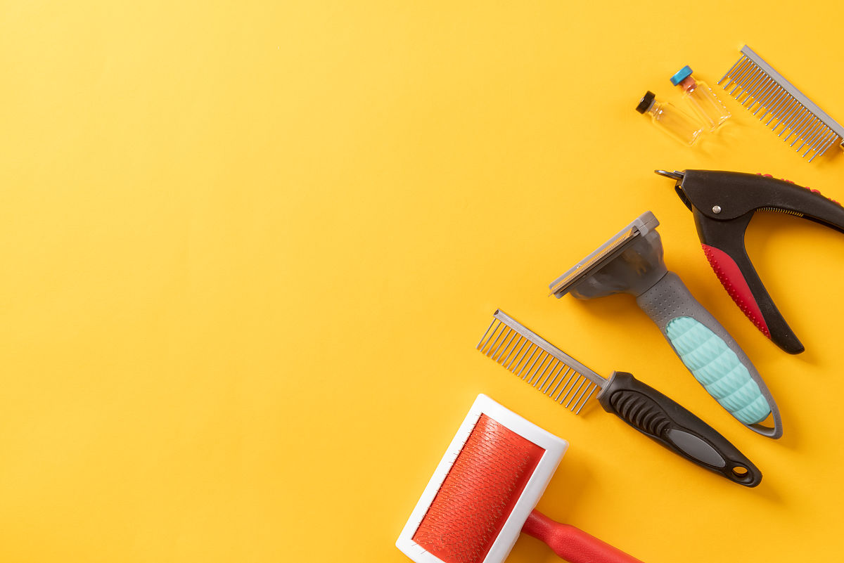 成都护理学专业就业方向及岗位内容：前景分析与职业发展