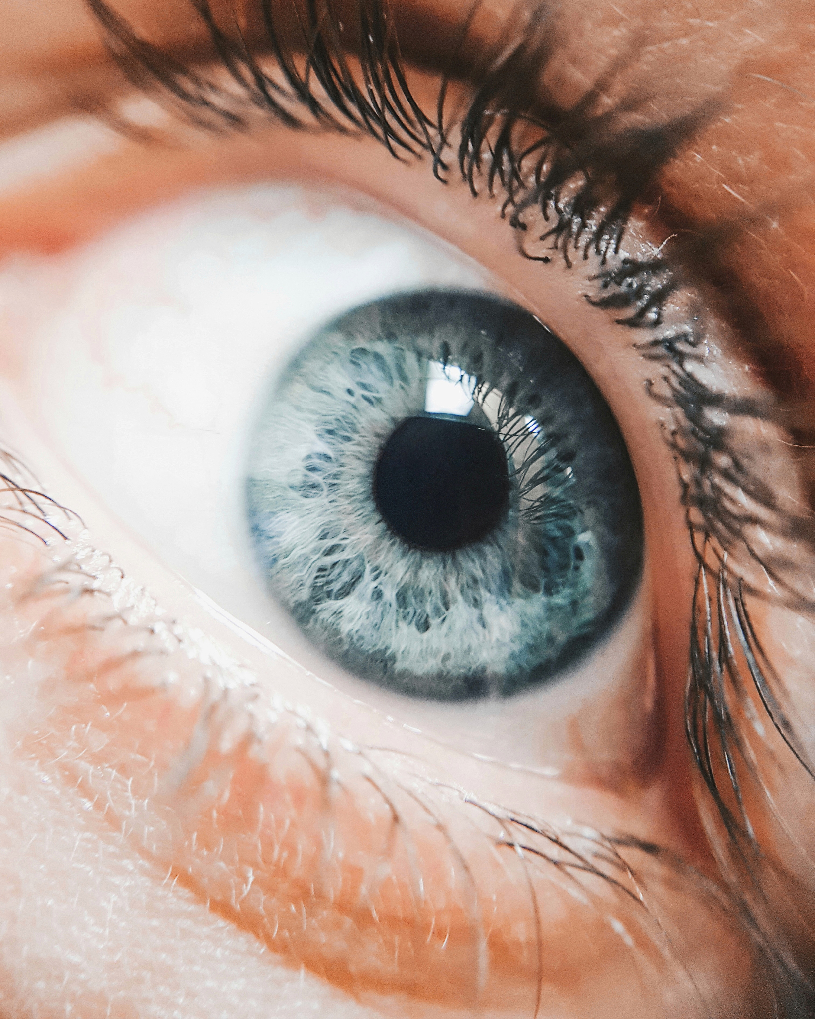 close-up portrait of woman eye