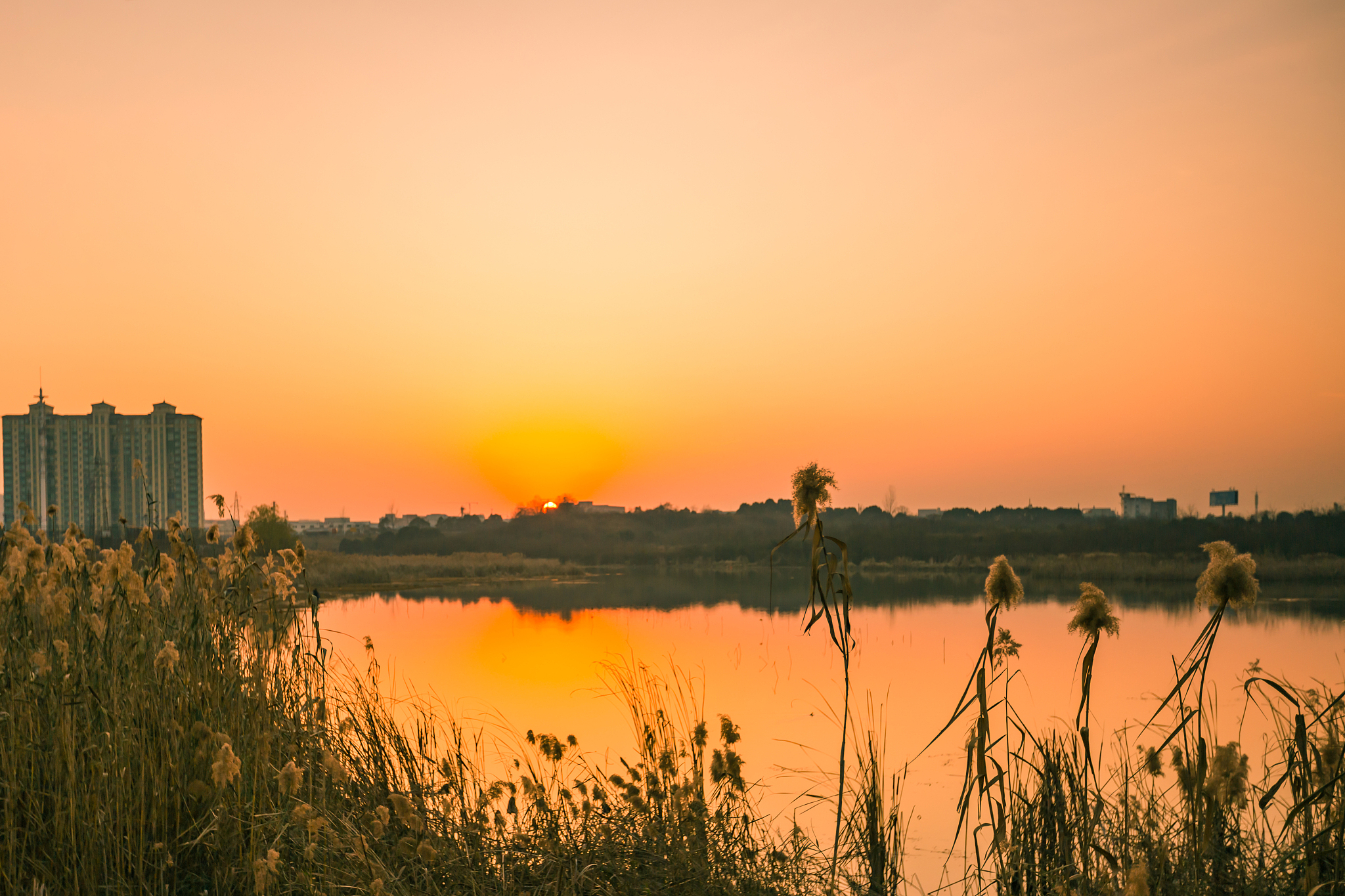 修改成通顺的新闻稿5月31日晚上下暴雨浑浊的洪水裹挟着杂物一波波涌进恒大金碧天下一期地下车库导致小区停电停水。小杨我们这里什么时候来电啊？我老两口住在33楼又不好下楼家里又没有吃的能不能帮忙想一想办法。6月1日早上9点恒碧社区工作人员接到老党员黄和平的求助电话。接到求助电话后社区工作人立刻买了一大包干粮、一大袋矿泉水气喘吁吁爬上33楼。到了门口老人打开门的瞬间连连致谢……为了放心工作人员检查了老人