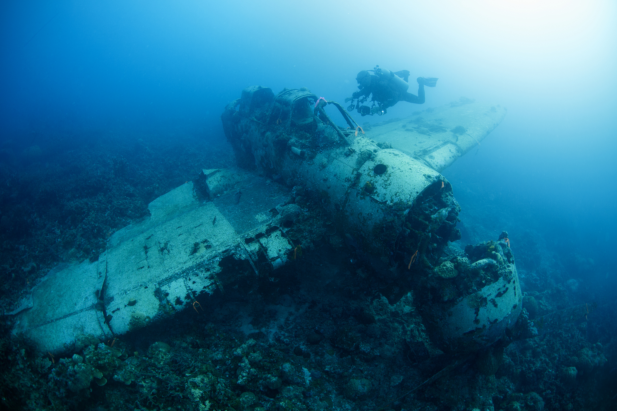 scuba diver swimming near wreck of japanese fighter plane, palau