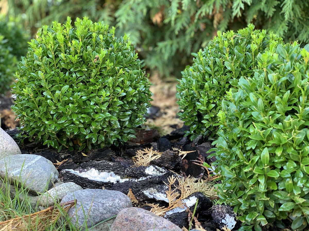 昆明农业学校园林专业2022年招生