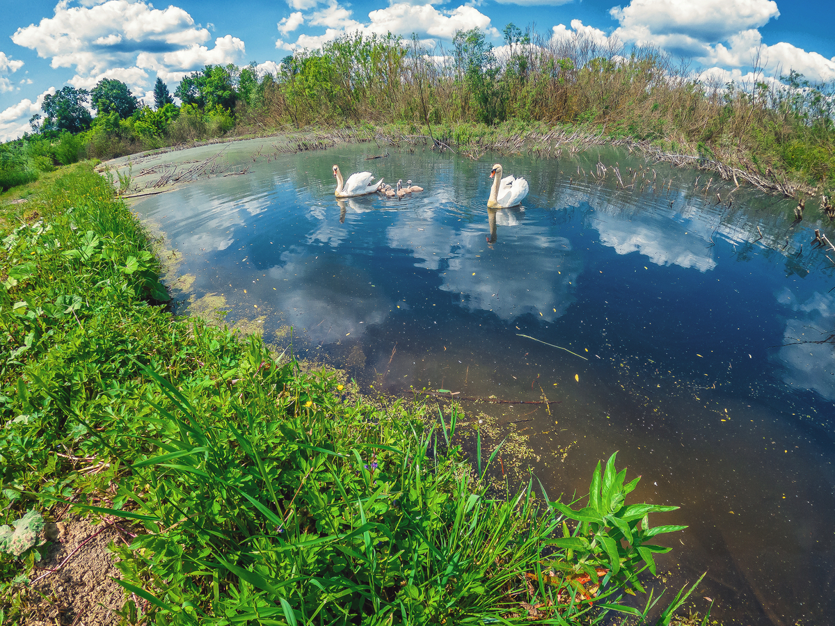 国家公园：完整保护环境的有效手段