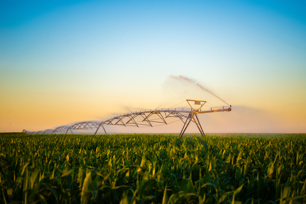 方伯伯浇水 - 优化玉米田品质平均数计算