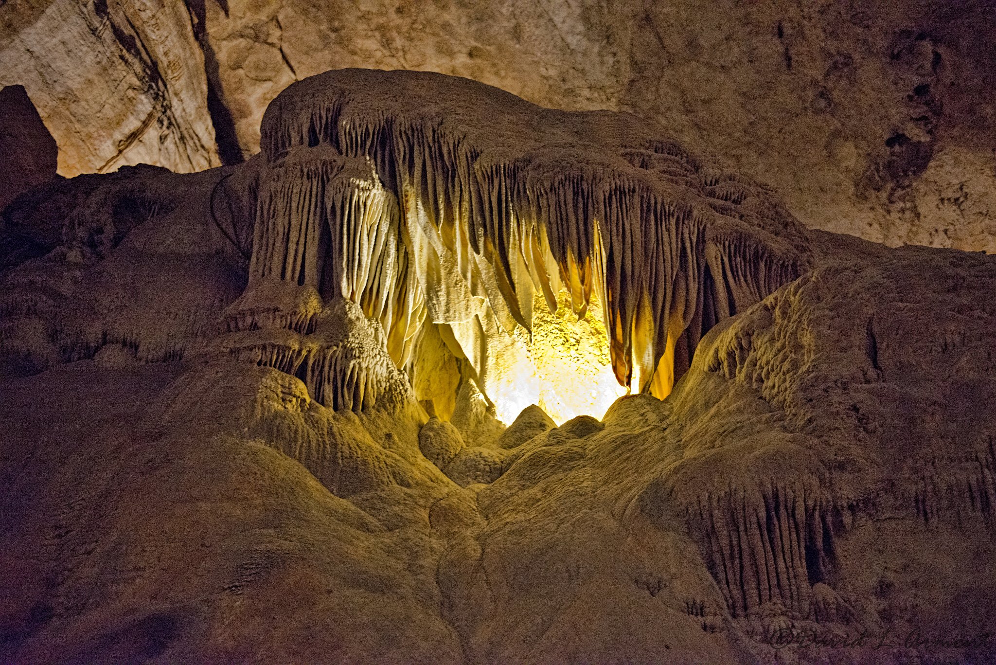 carlsbad caverns national  park