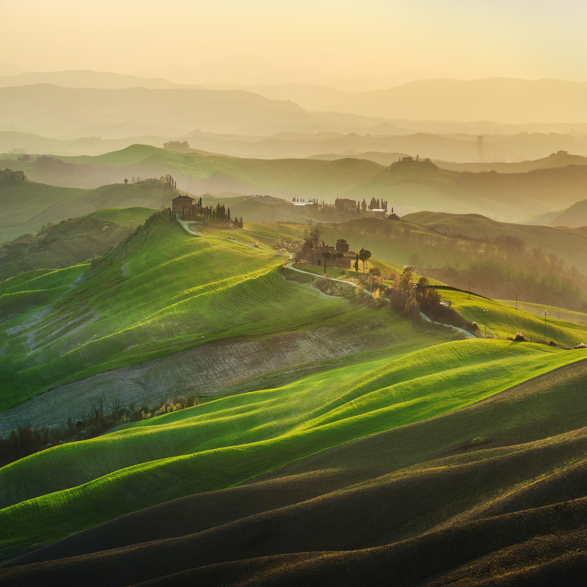 tuscan green spring at sunset, italy