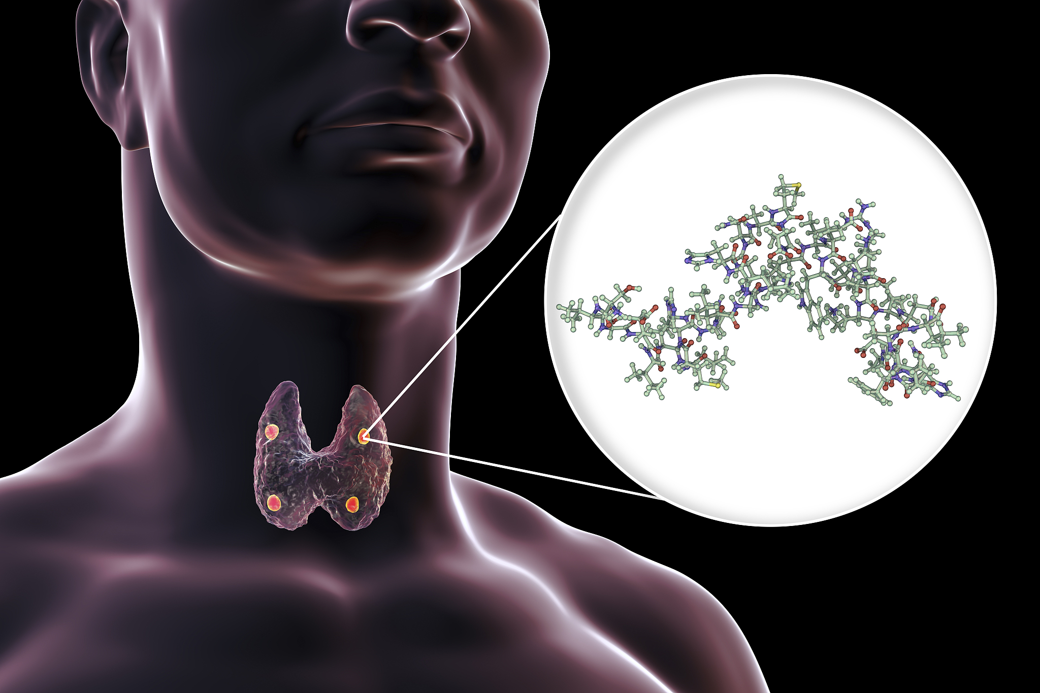 成都成人卫校临床医学要学哪些课程？