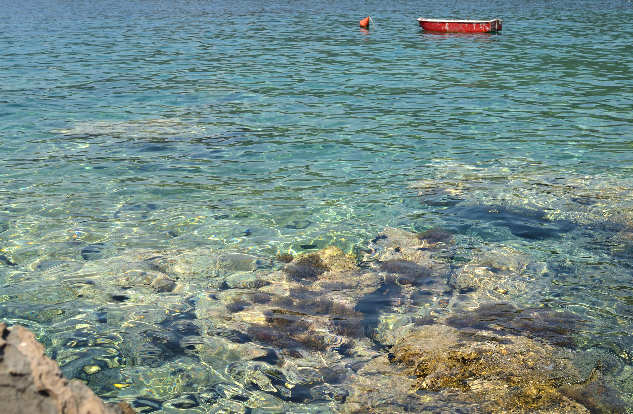 sea surface and underwater rocks