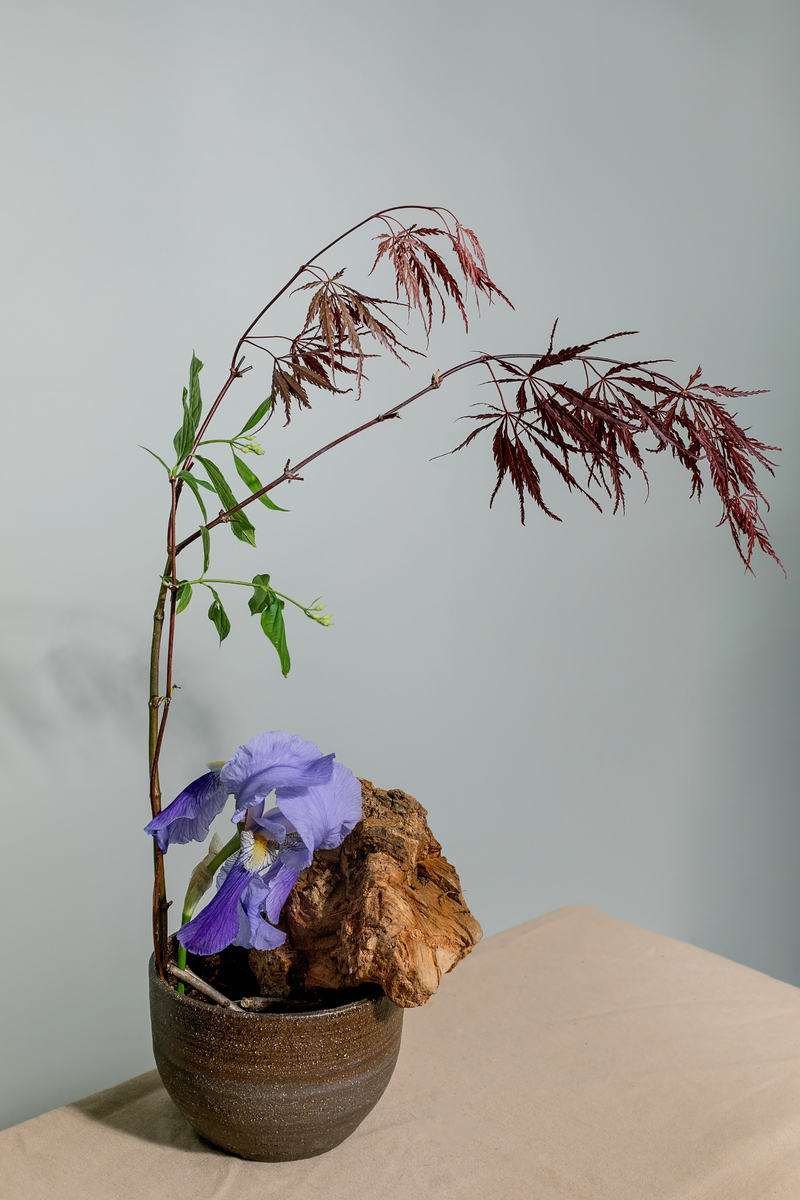 日本花道：自然、和谐与平衡的艺术