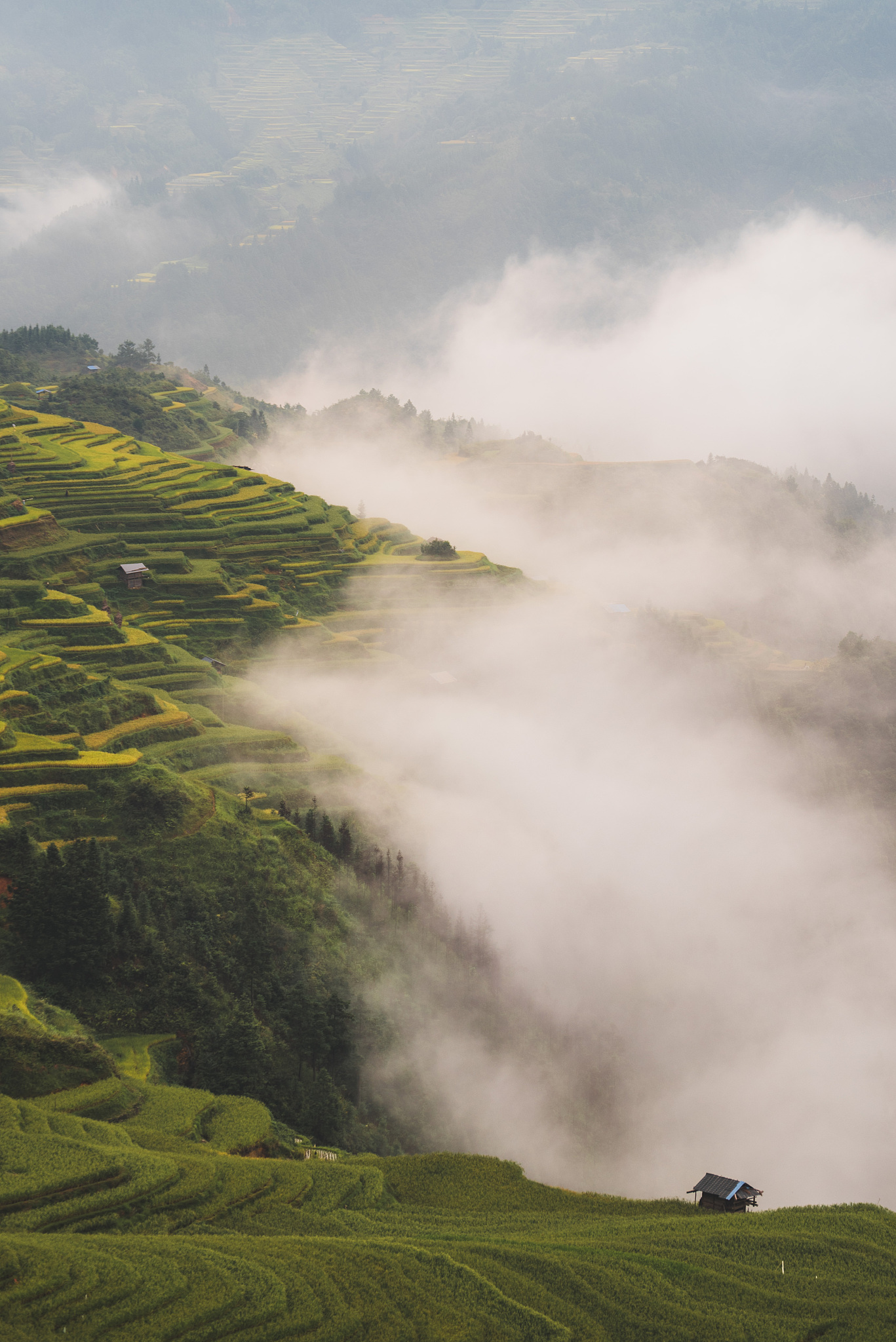 写一首唐宋风格的七言律诗，要求出现凤堰，梯田，云海