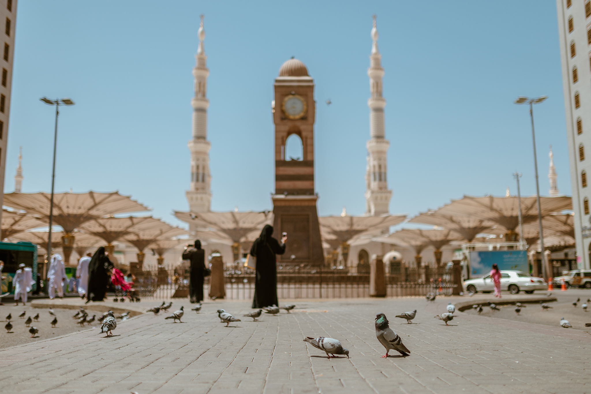 a pigeon at the entrance of the mosque of muhammad pbuh at al ma