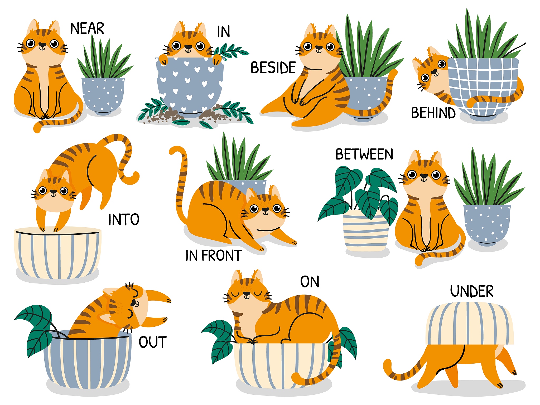 无法画猫？ 用文字描述一只猫！