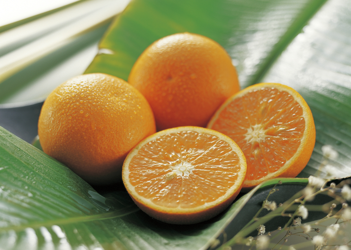 请帮我写1篇不少于800汉字的博客文章语言要幽默接地气。主题是：柑橘金秋沙糖桔金秋砂糖桔简介