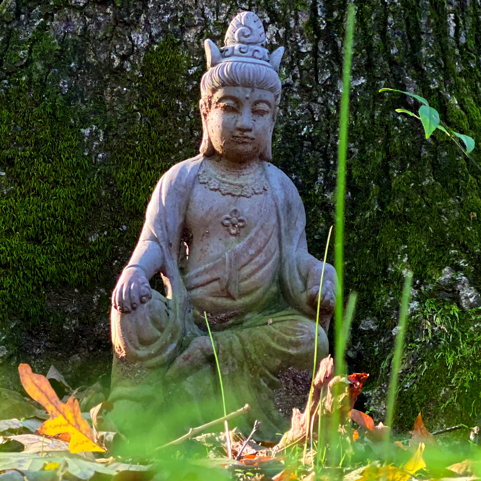 什么是生态哲学