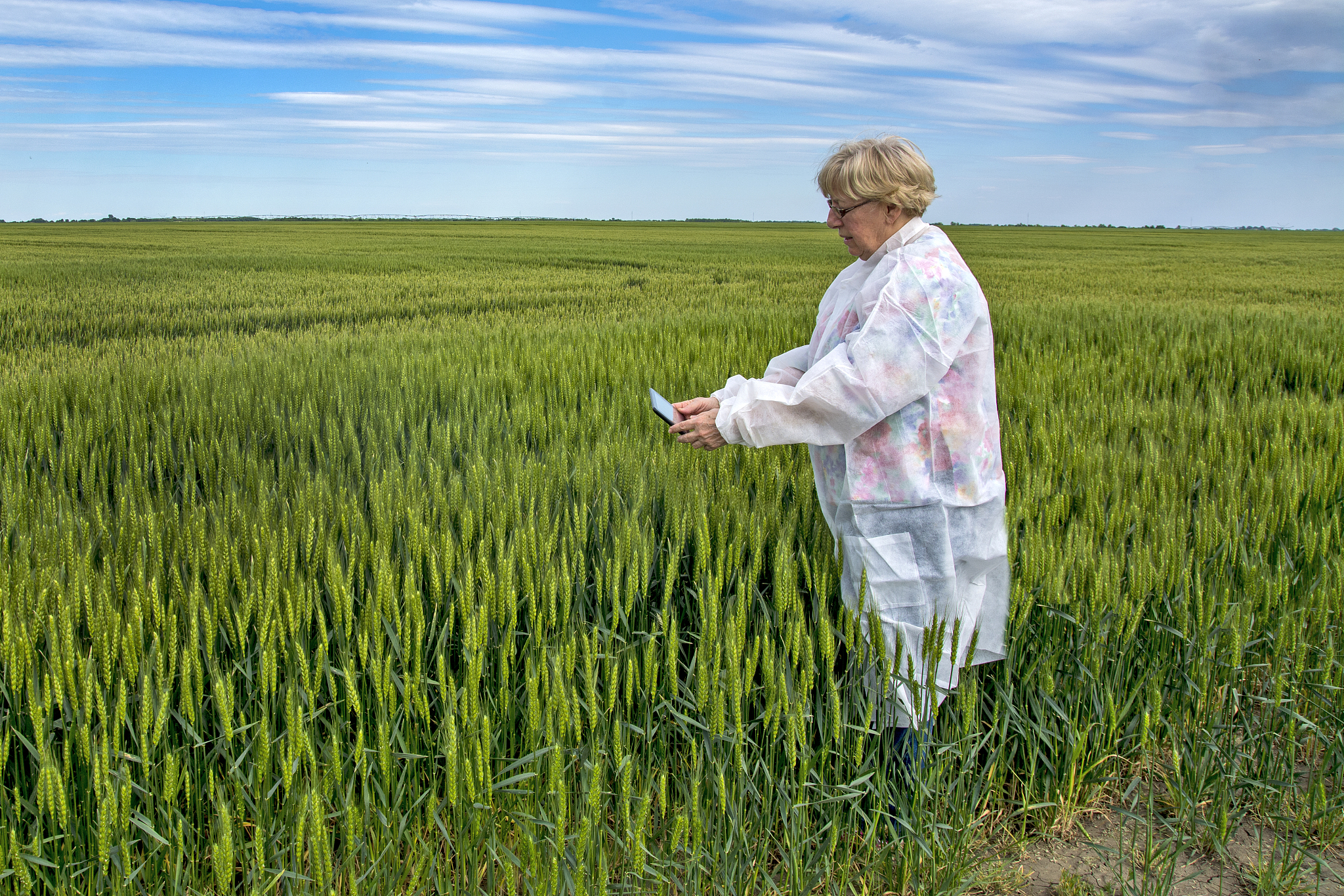 南阳农业学校热门专业推荐：农业经济管理、植物保护等
