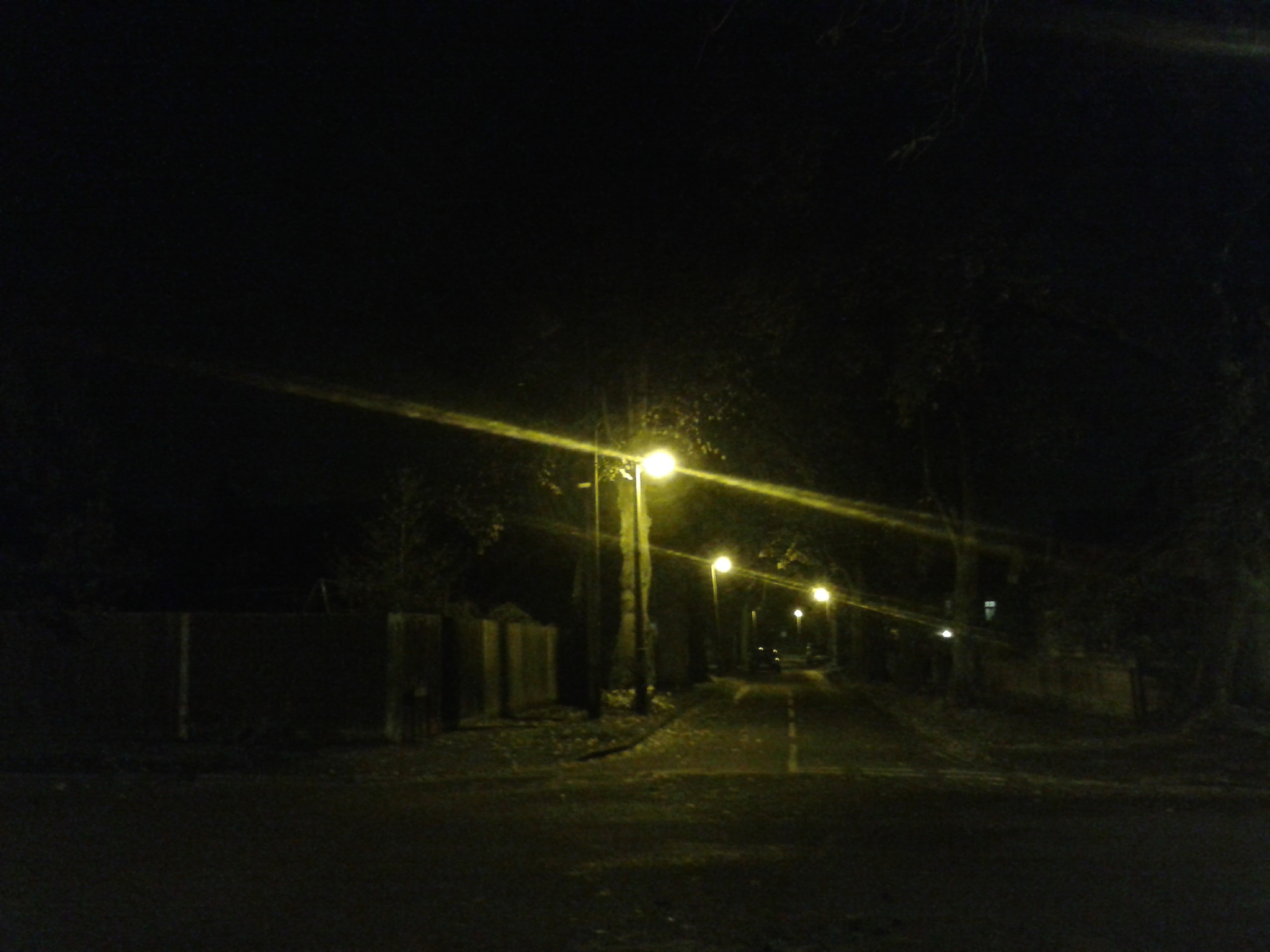empty road along trees at night