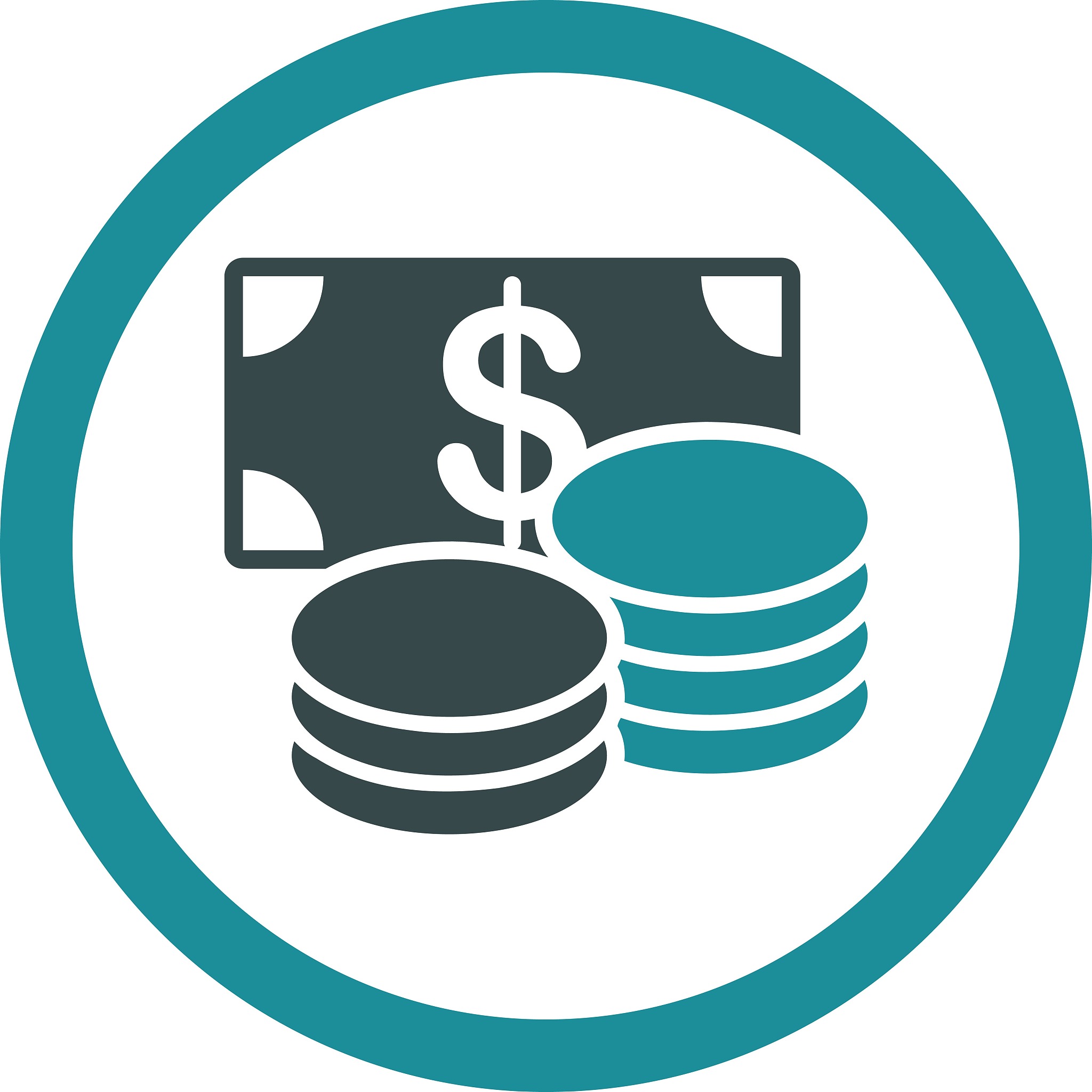cash icon