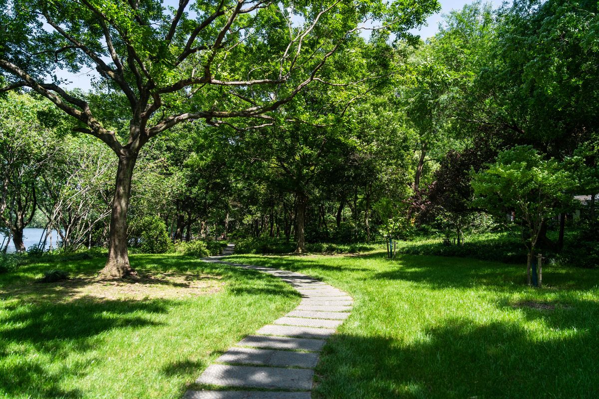 以为什么有人喜欢逛公园在公园能发现怎样的乐趣为题写一篇文章1200字左右。重新编写标题