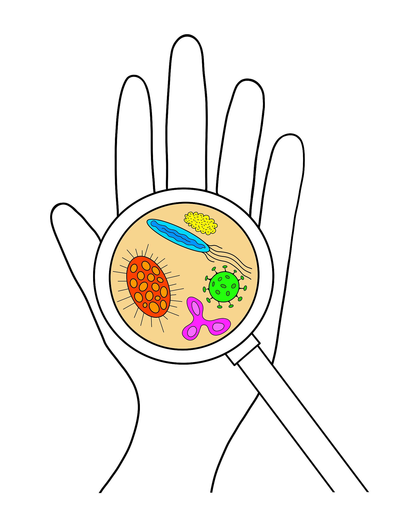 手部和手机触摸屏微生物菌群分析：组成、数量与健康关系