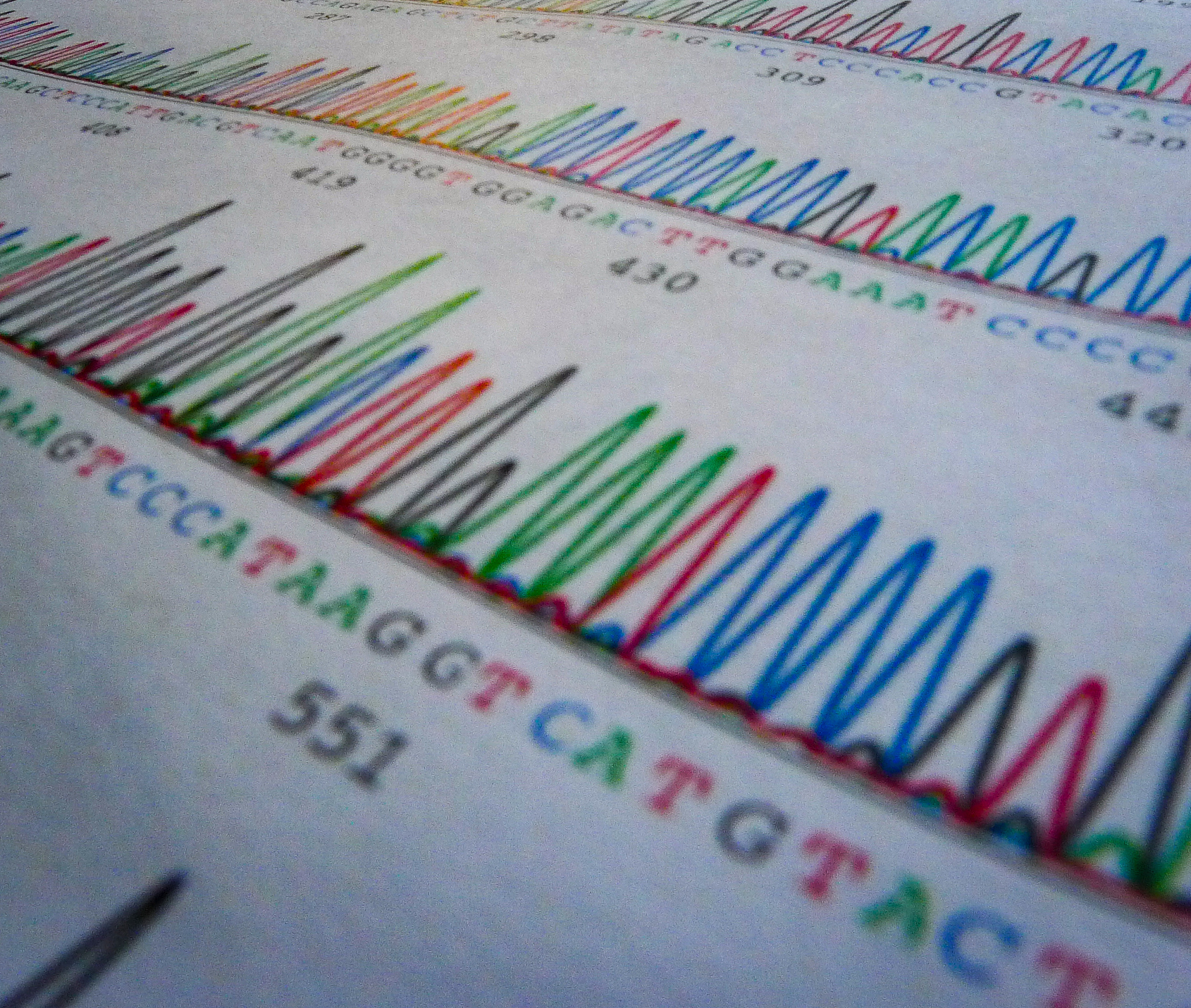 高通量单细胞全长转录本测序方法及载体
