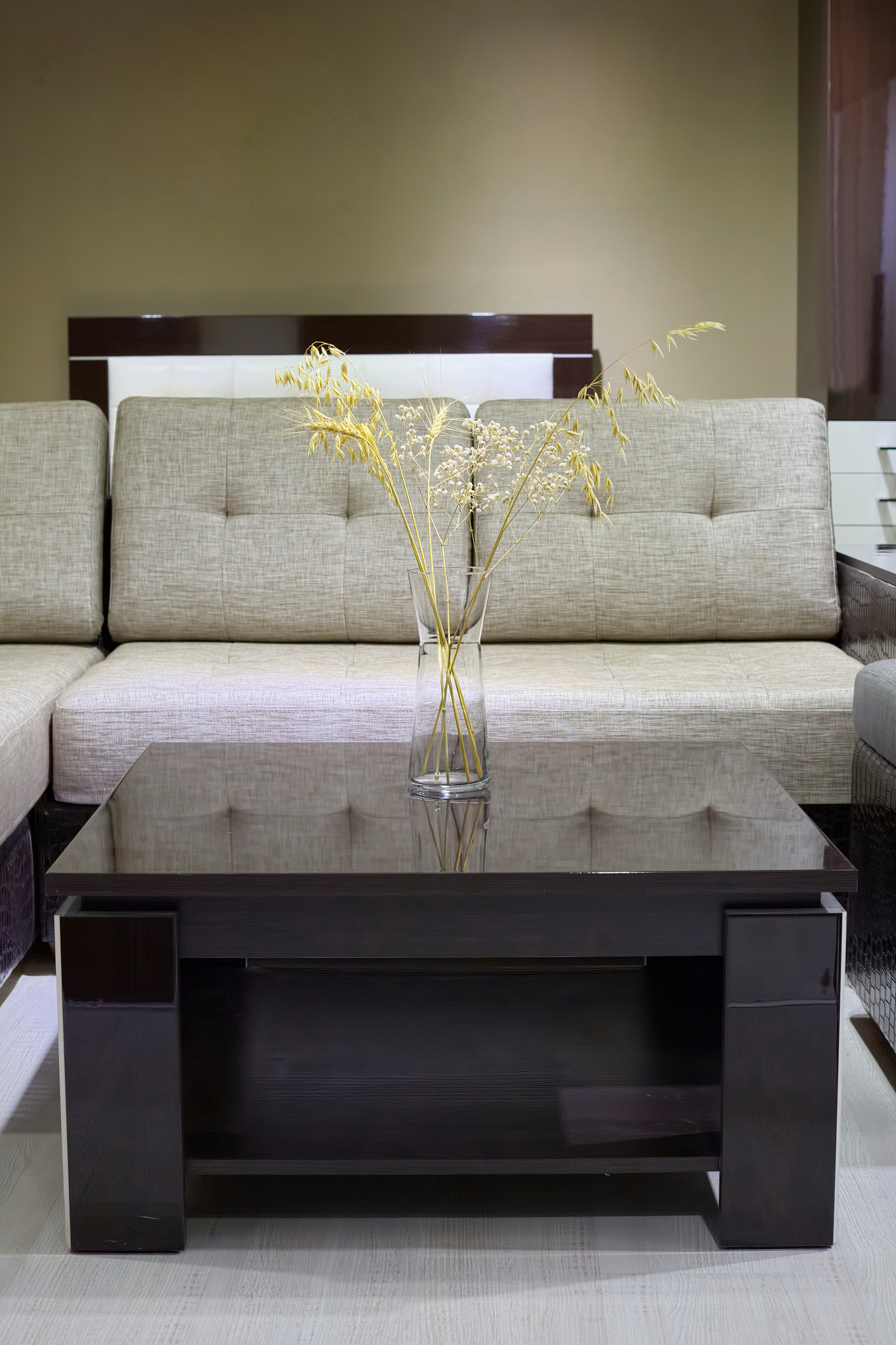 modern furniture in the living room