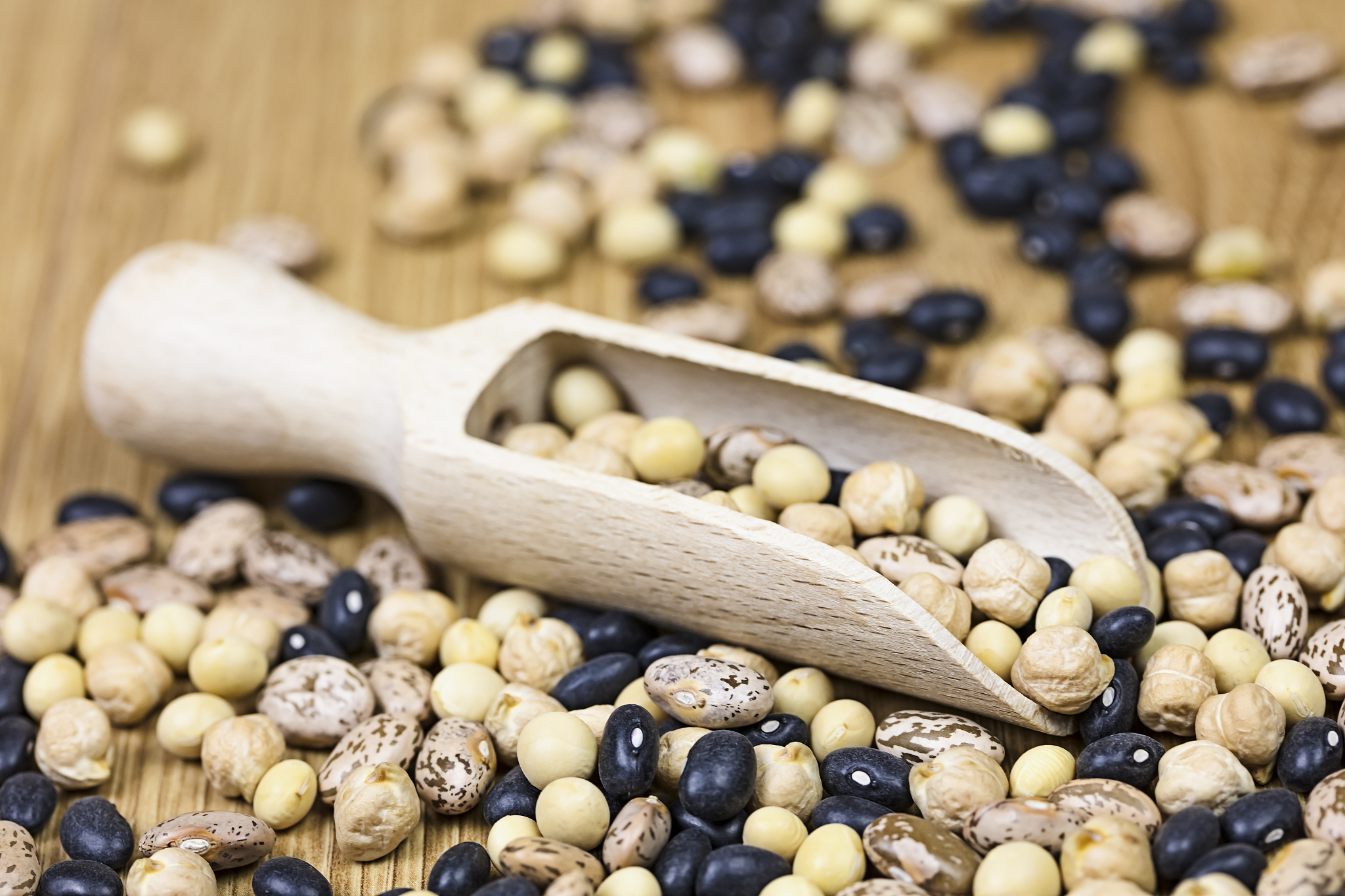 野生大豆亚油酸和亚麻酸的作用