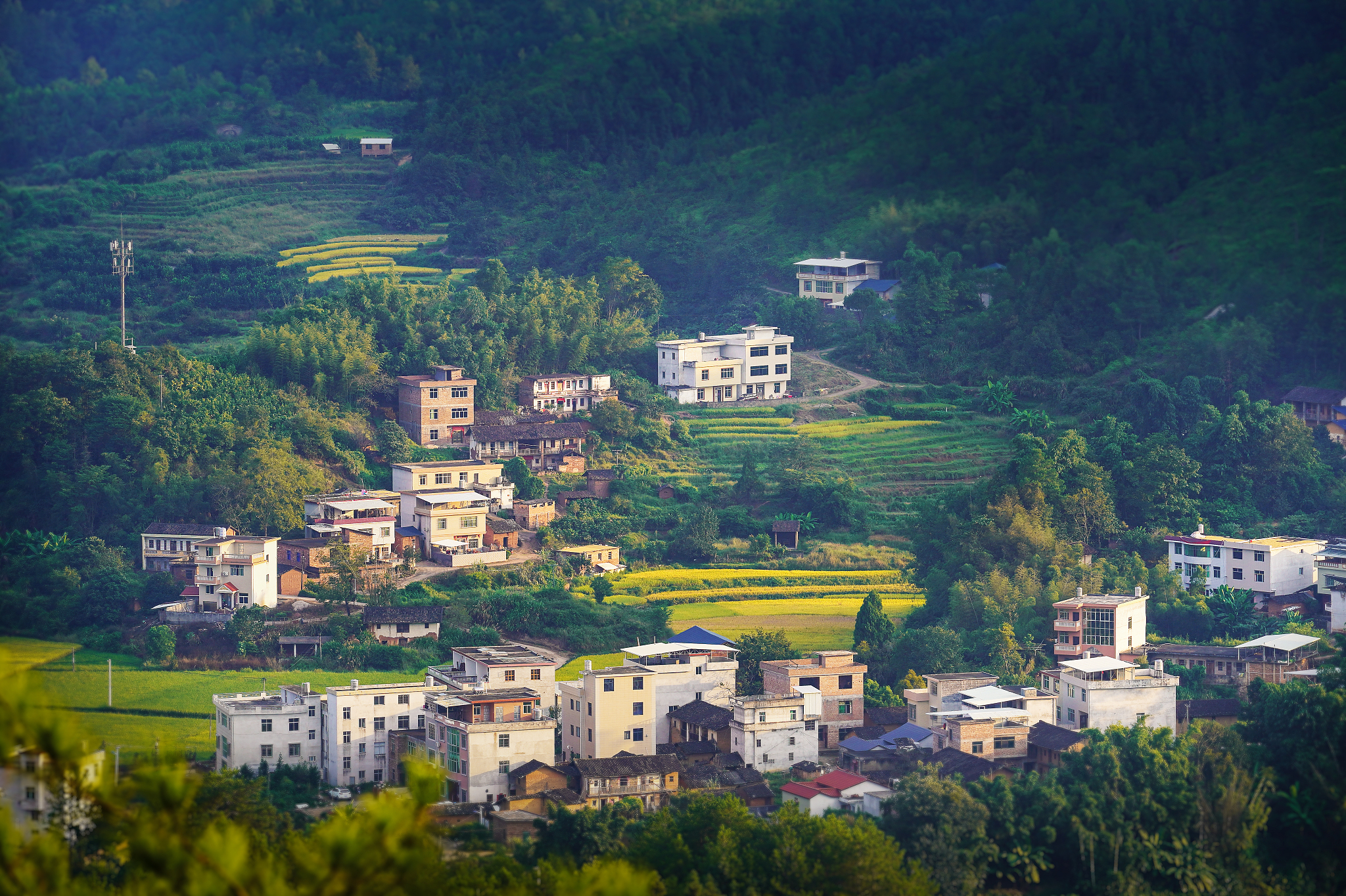 互联网 乡村文旅振兴前景好处