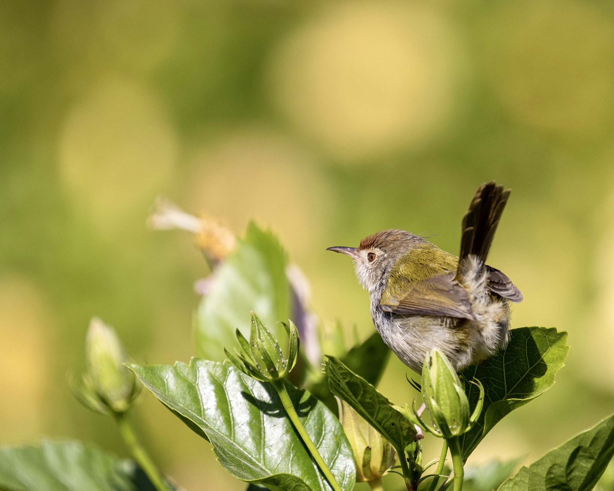 晒太阳的正确方法，你真的做对了吗？