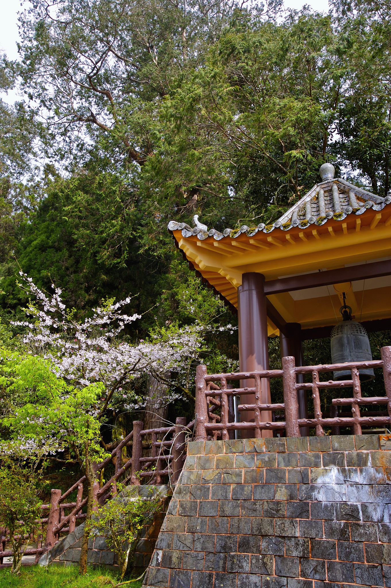 中国台湾,嘉义,阿里山风景区,慈云寺,
