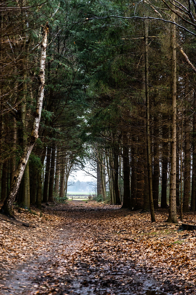 军训第一天寝室稿件：青春的绽放