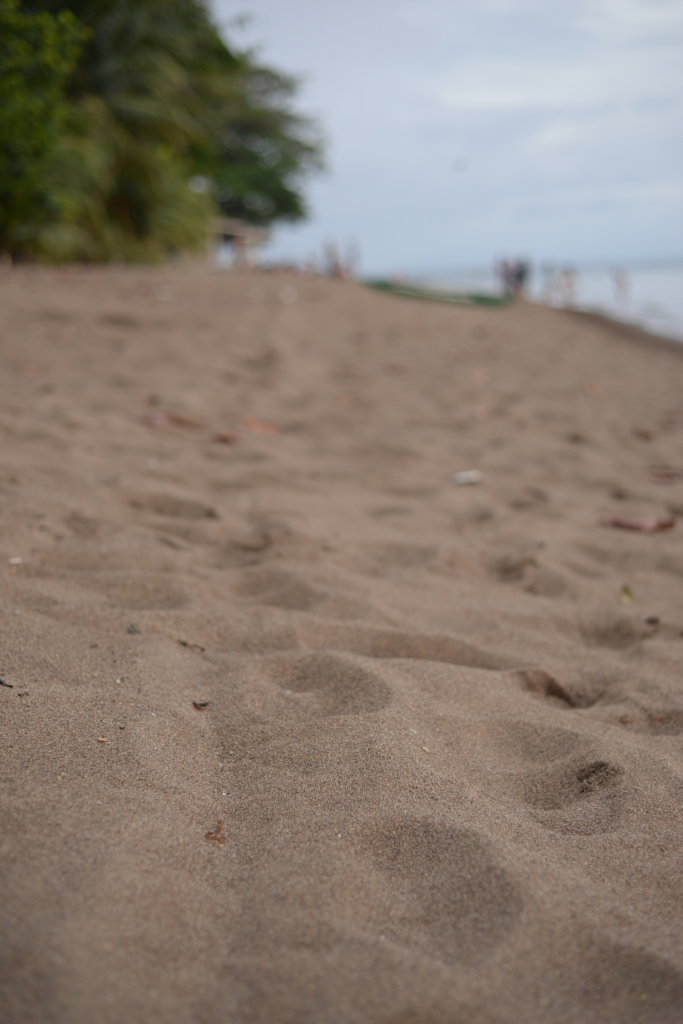 close-up of sand on beach
