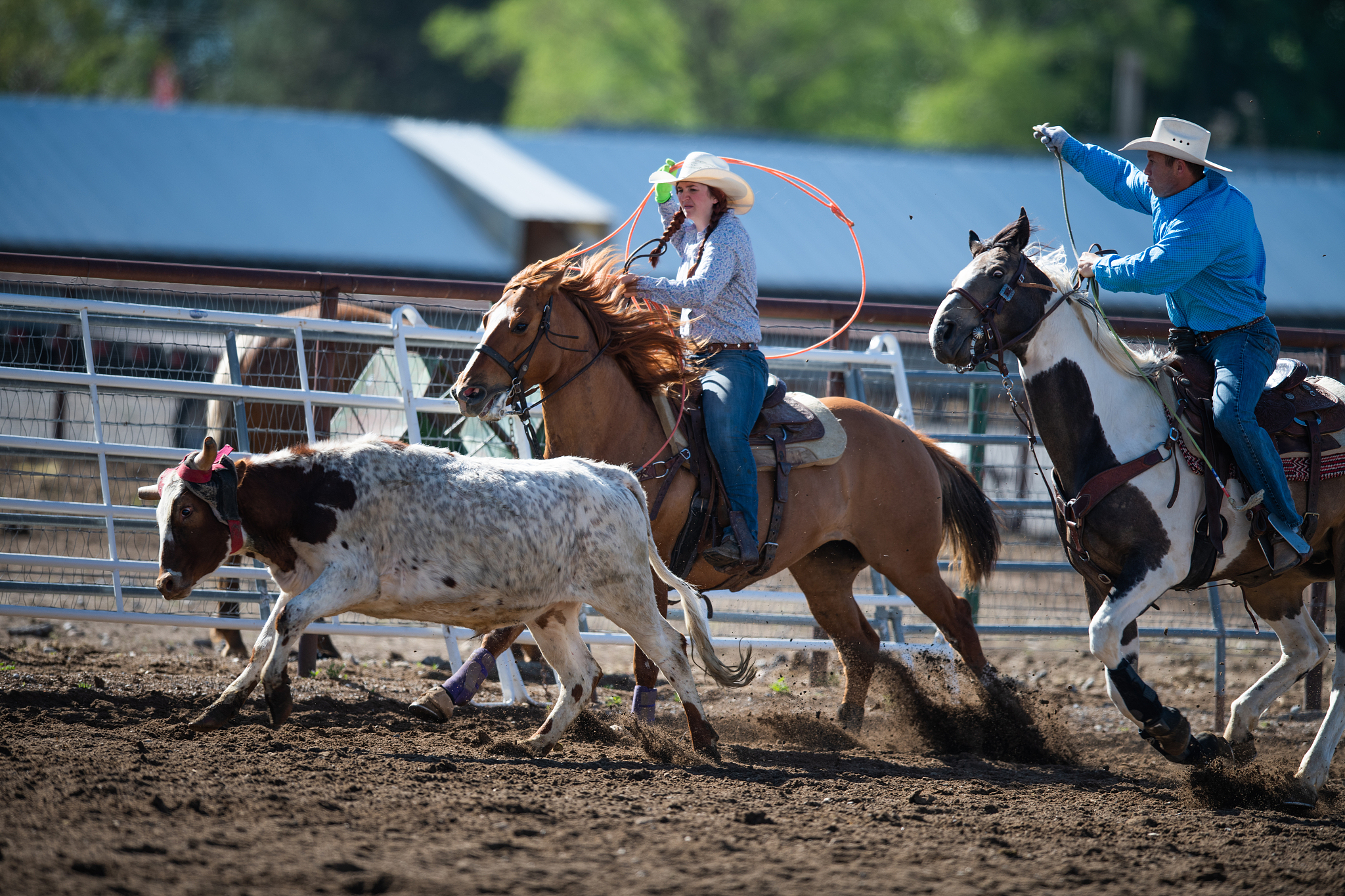四川体育运动学校2023年宿舍条件：升级改造，舒适体验