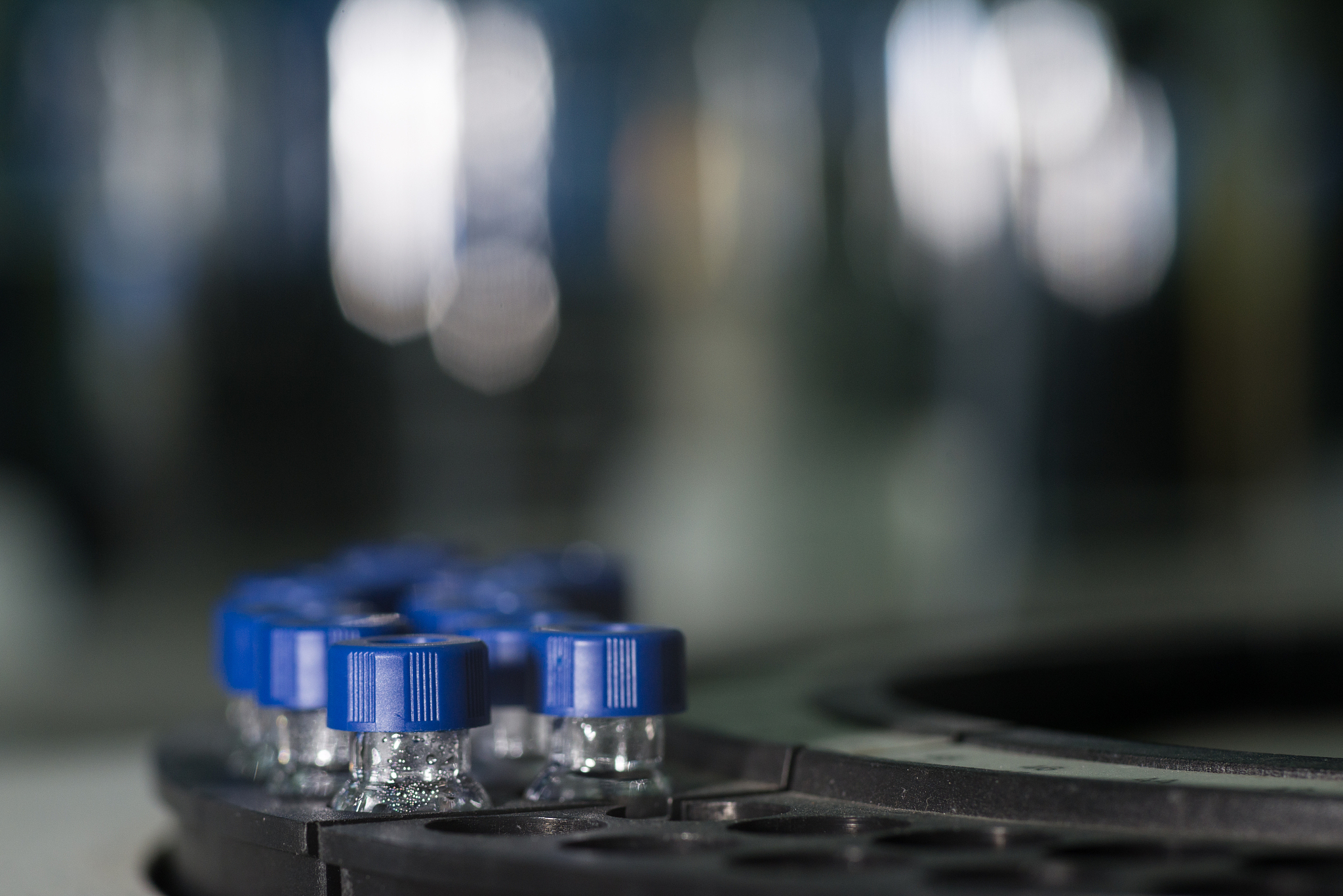 写一份脂联素的性能验证方案