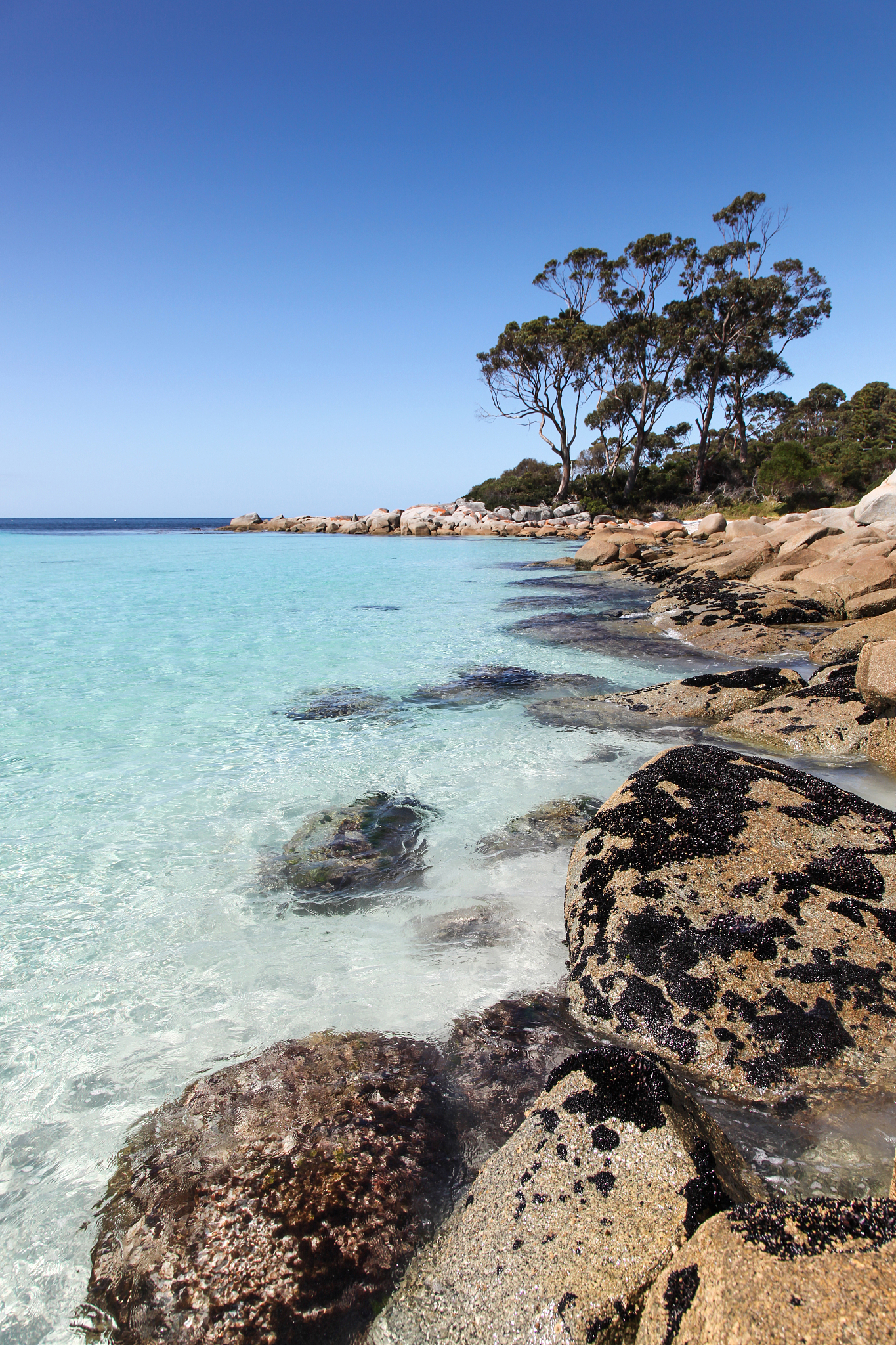 binalong bay - tasmania