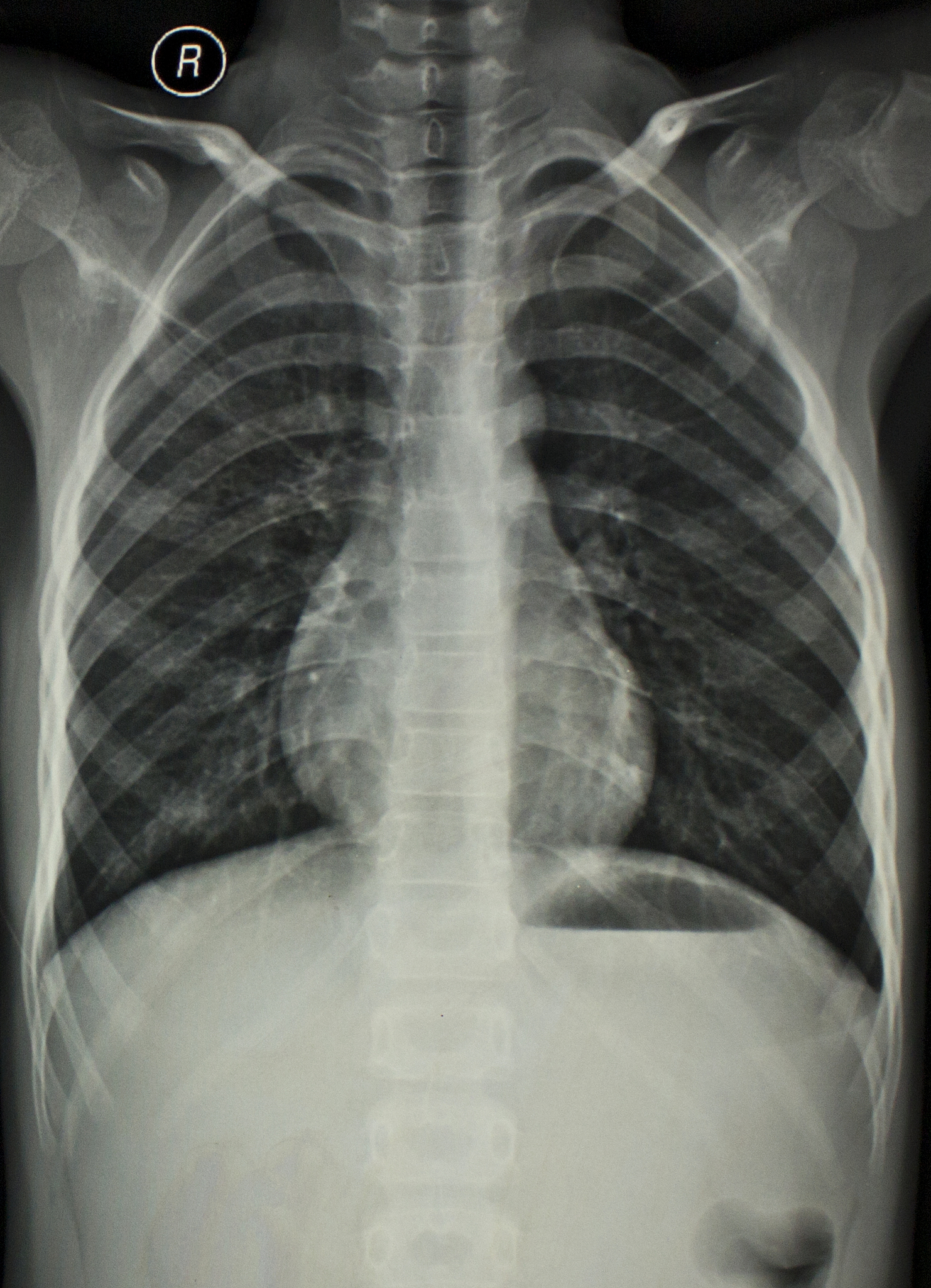 河南医学高等专科学校专业介绍：临床医学、护理学等热门专业
