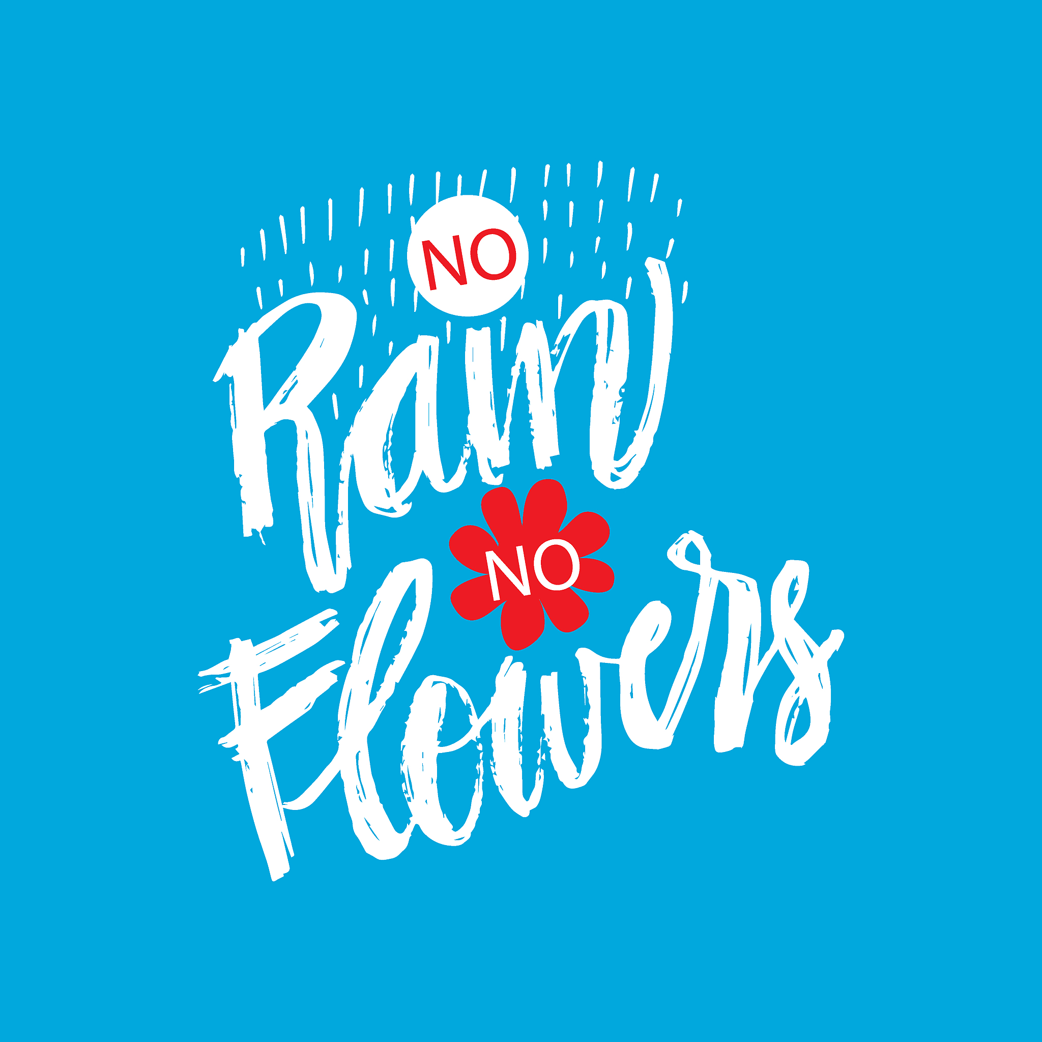 no rain no flowers hand drawn lettering calligraphy