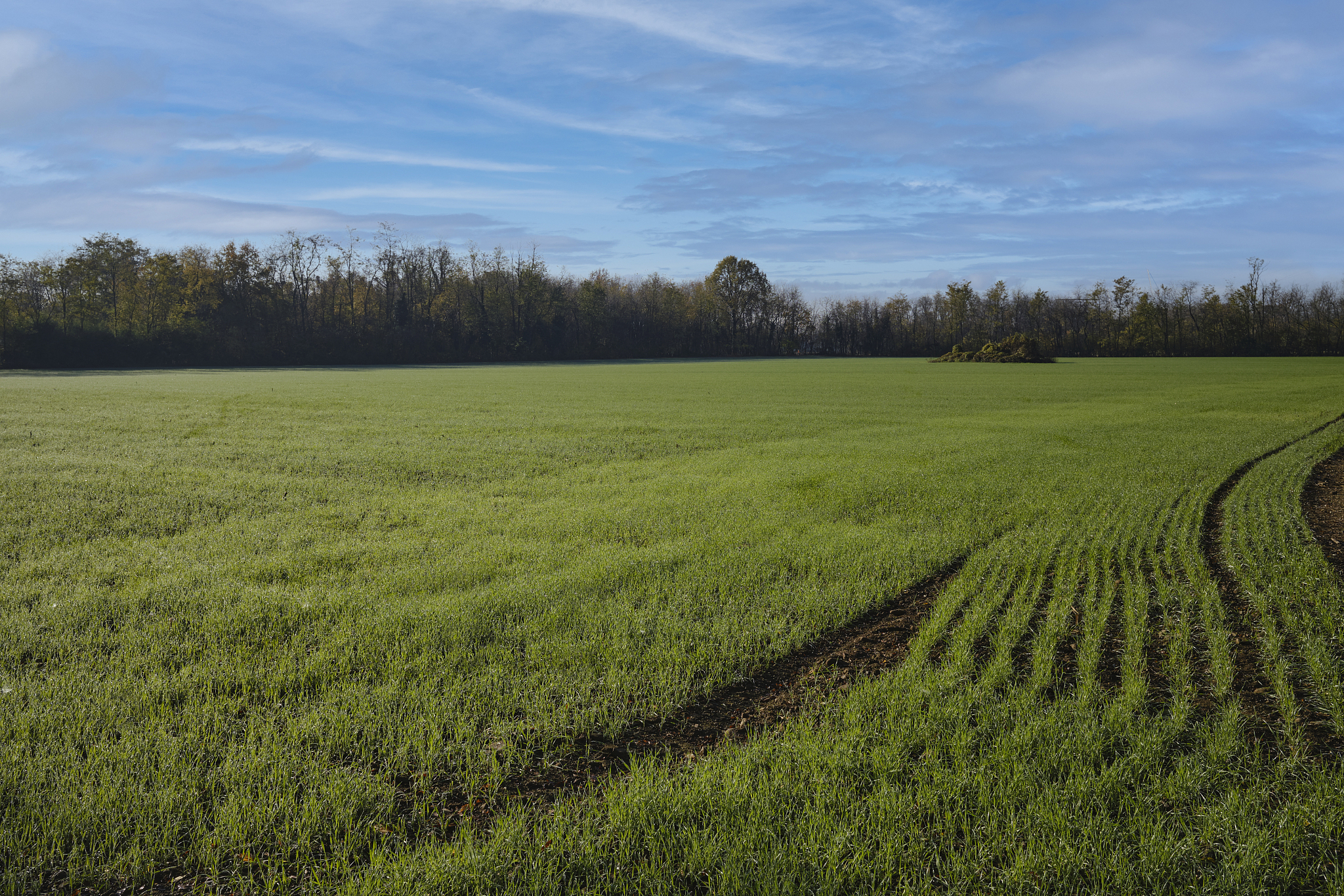 浙江农业商贸职业学院绿色食品生产与经营专业怎么样